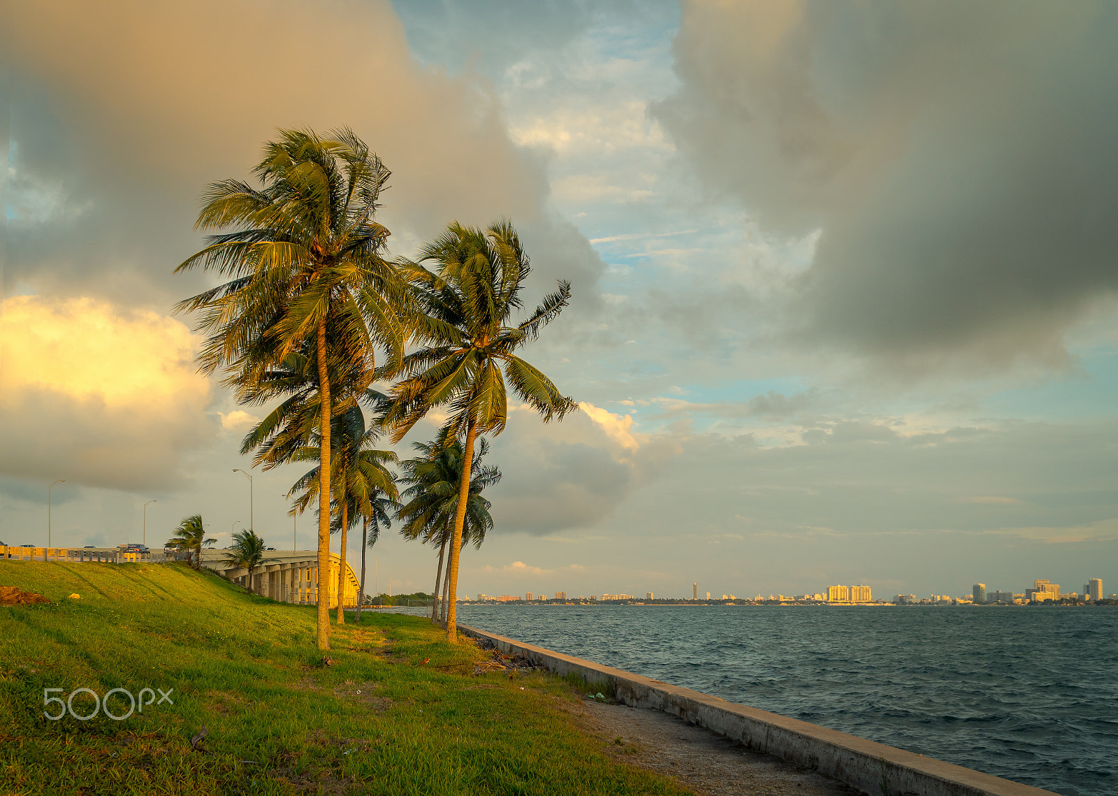 Sony E PZ 18-105mm F4 G OSS sample photo. Coconuts by the sea photography