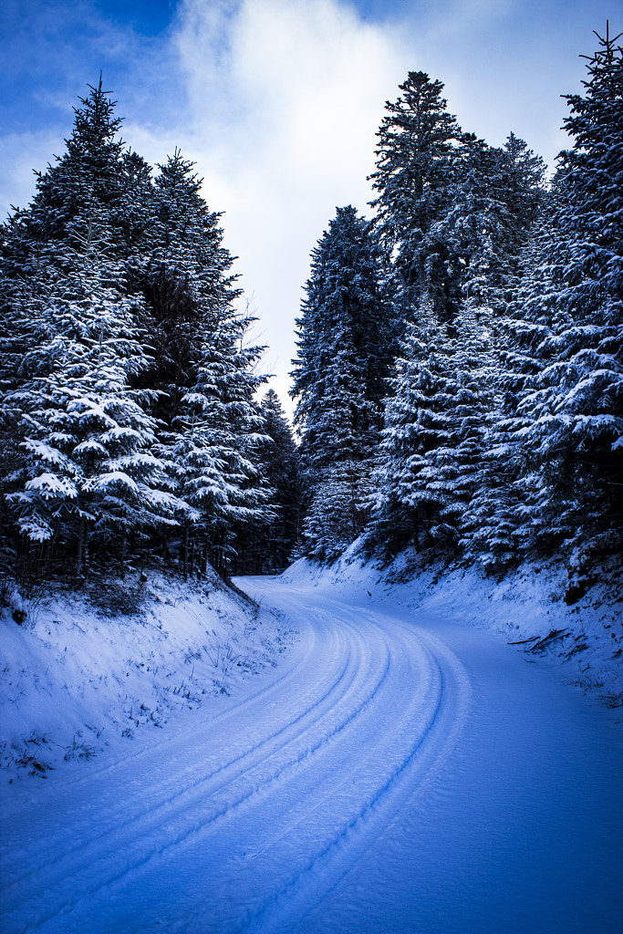 WINTER ROAD