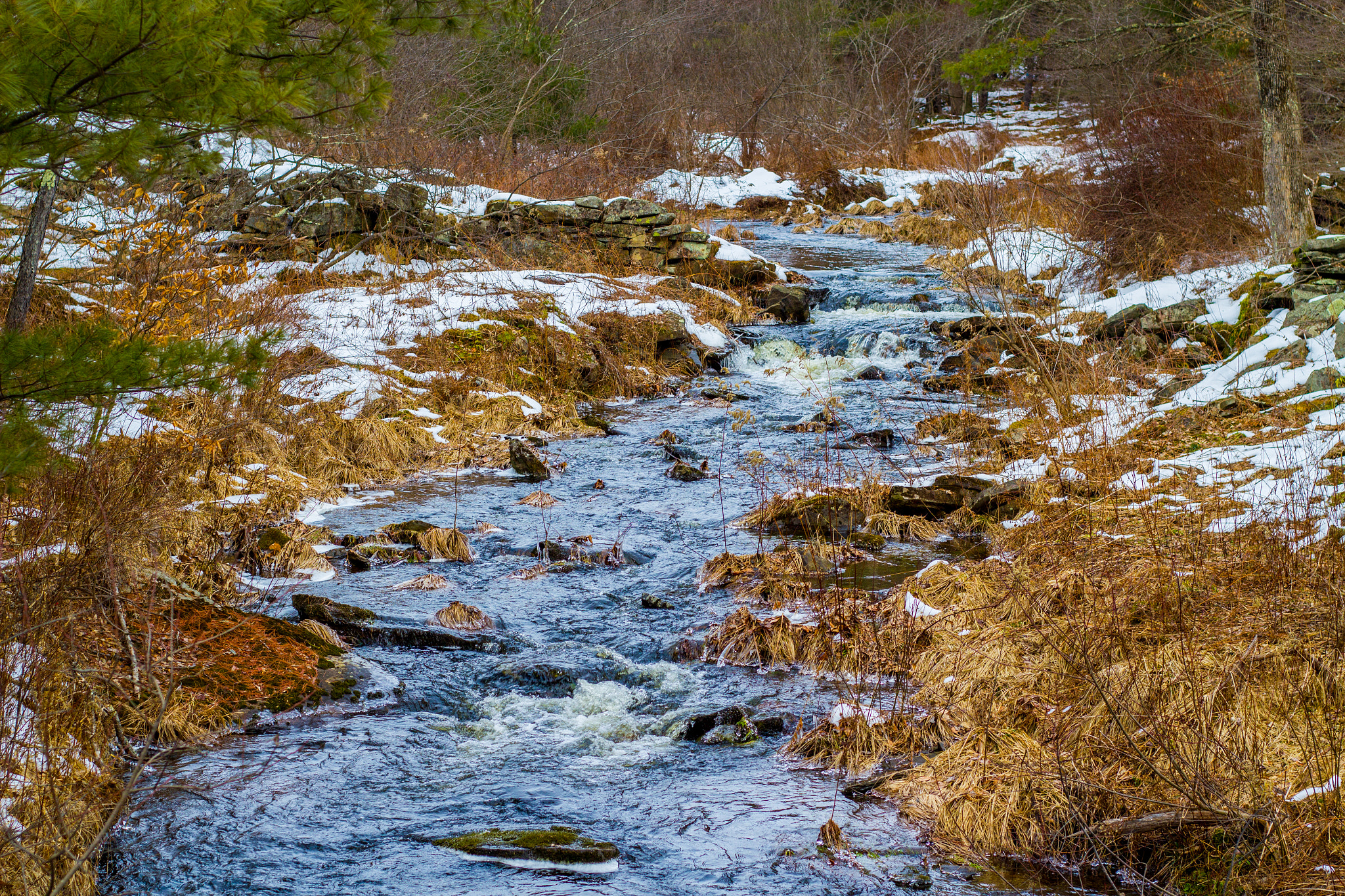 Canon EOS 550D (EOS Rebel T2i / EOS Kiss X4) sample photo. January flow photography