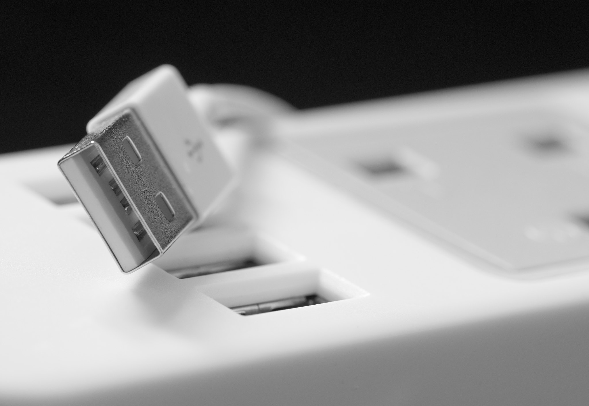 Sigma 105mm F2.8 EX DG OS HSM sample photo. Usb photography