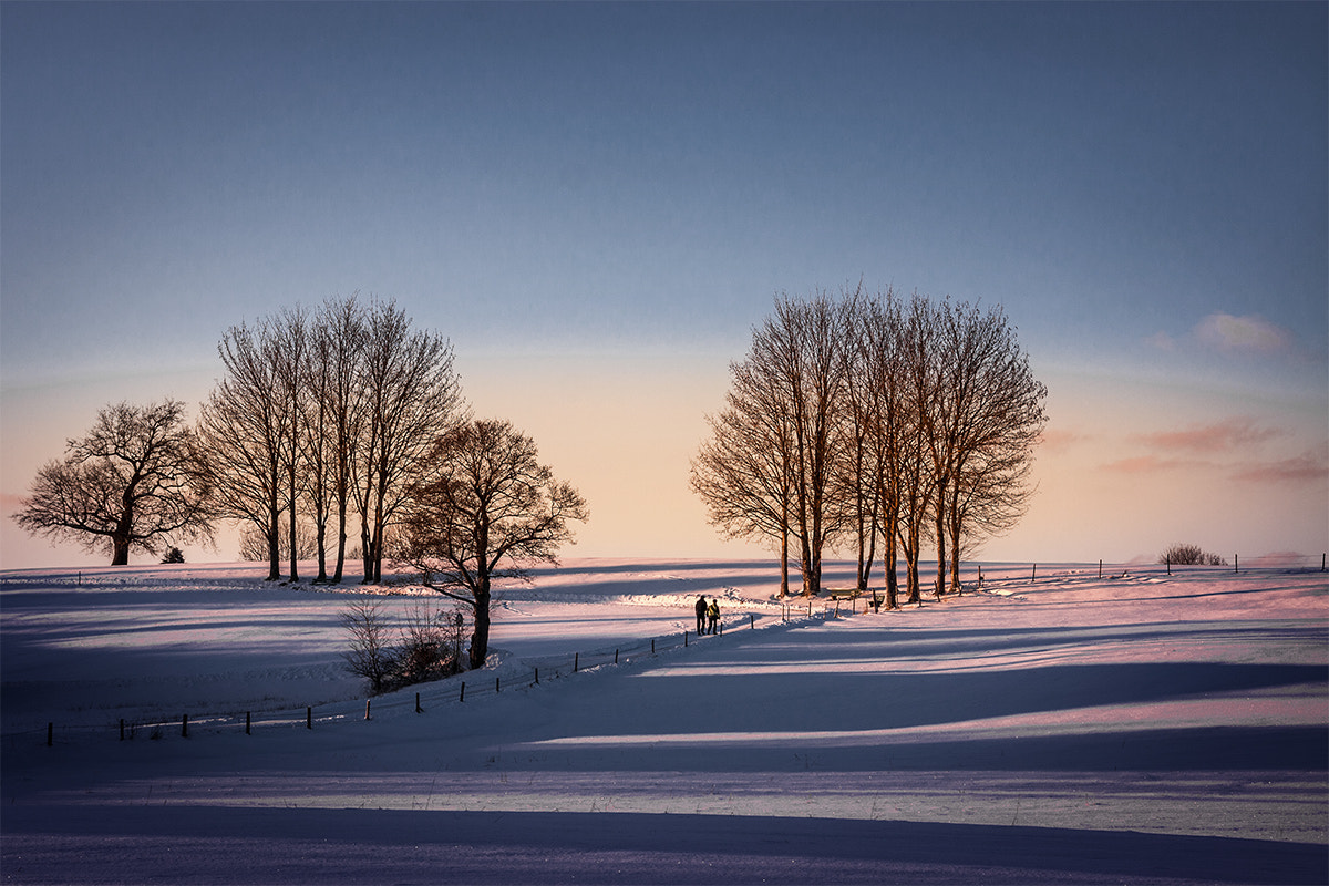 Sigma 18-200mm f/3.5-6.3 DC OS sample photo. Walk in the snow photography