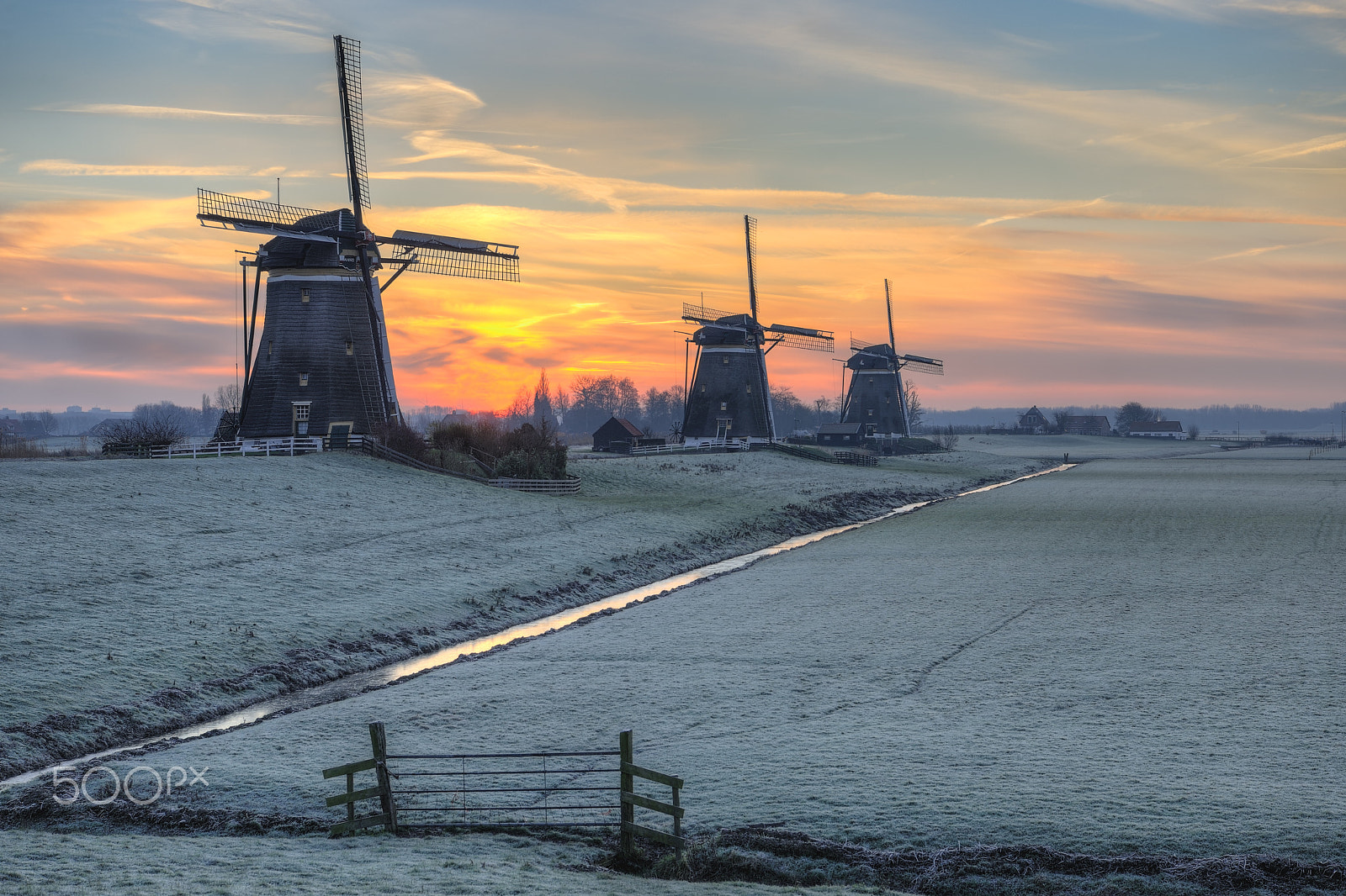 Nikon D3X sample photo. Stompwijk in a freezing cold morning photography