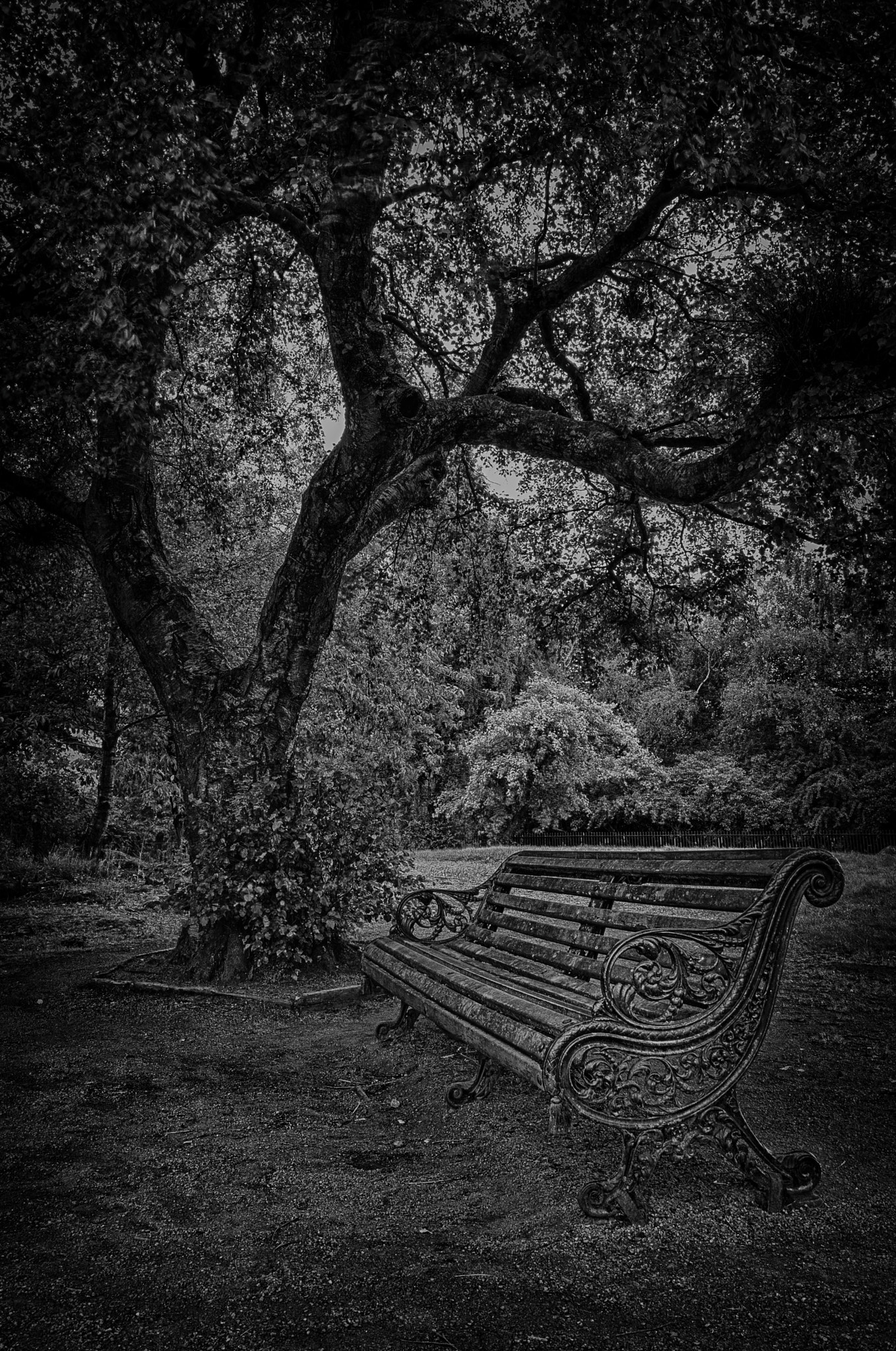 Sony E 20mm F2.8 sample photo. Bench photography