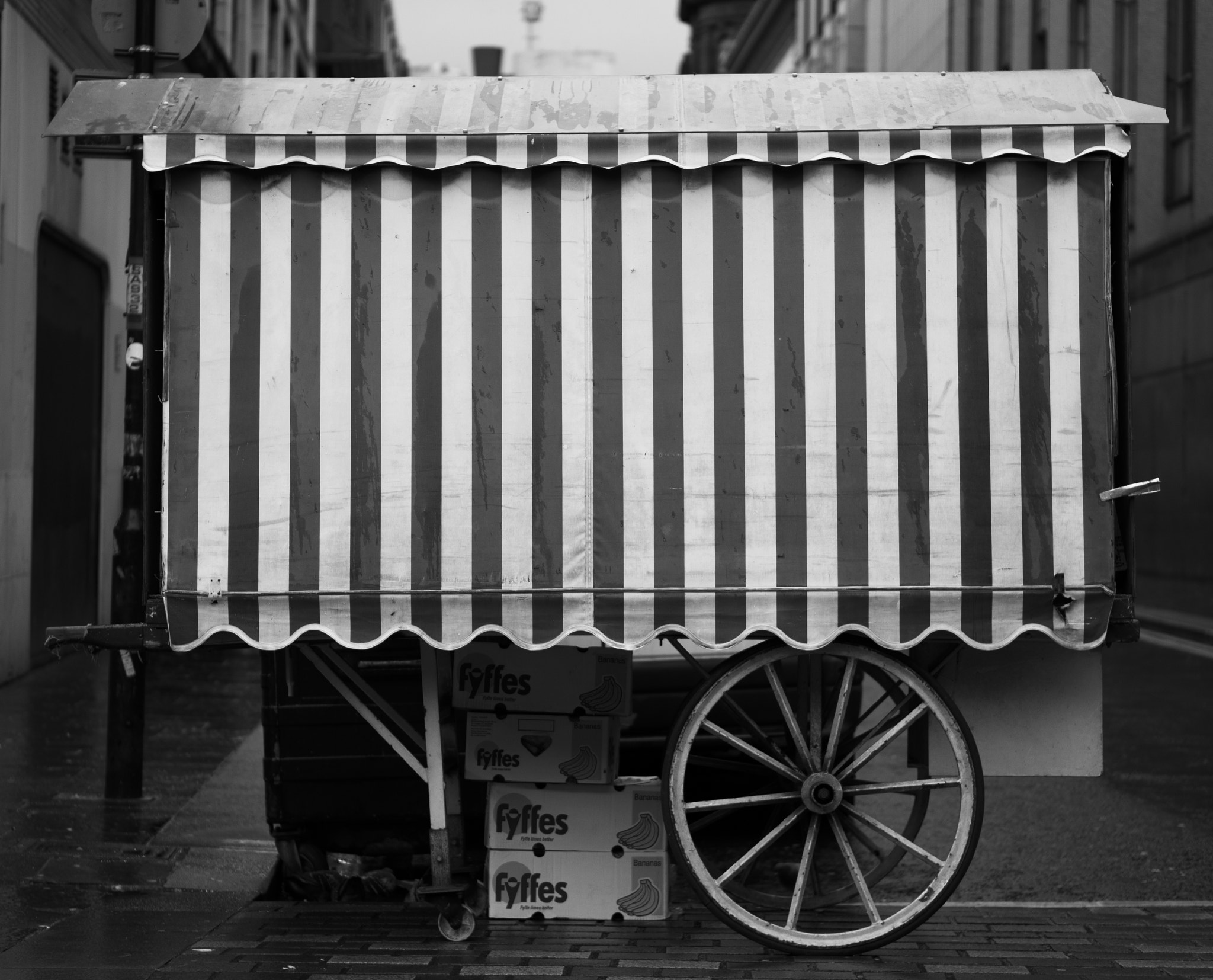 Sony Alpha a5000 (ILCE 5000) + E 50mm F1.8 OSS sample photo. Fruit stall photography