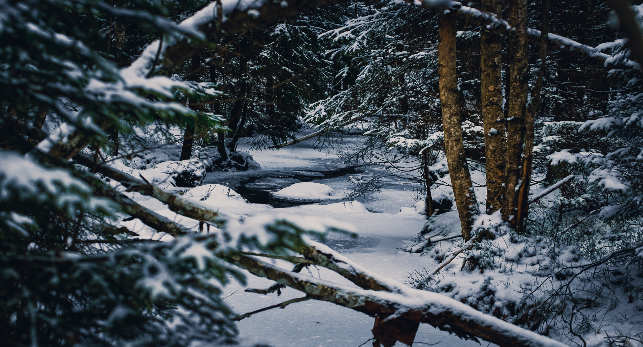 Fujifilm X-E1 + Fujifilm XF 55-200mm F3.5-4.8 R LM OIS sample photo. Winter landscape photography
