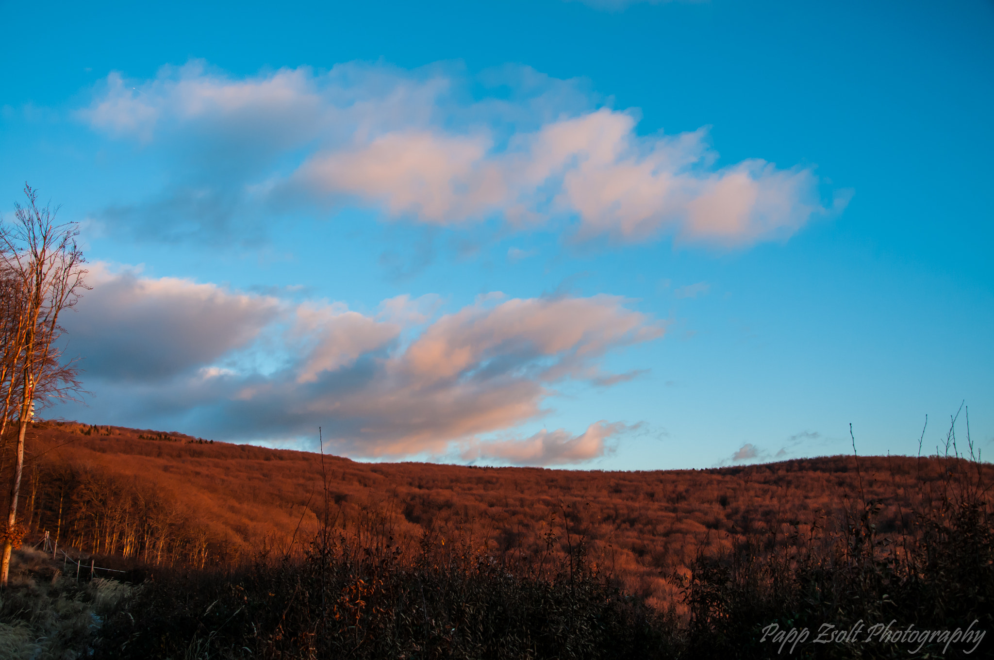 Nikon D300 sample photo. Natural matra photography