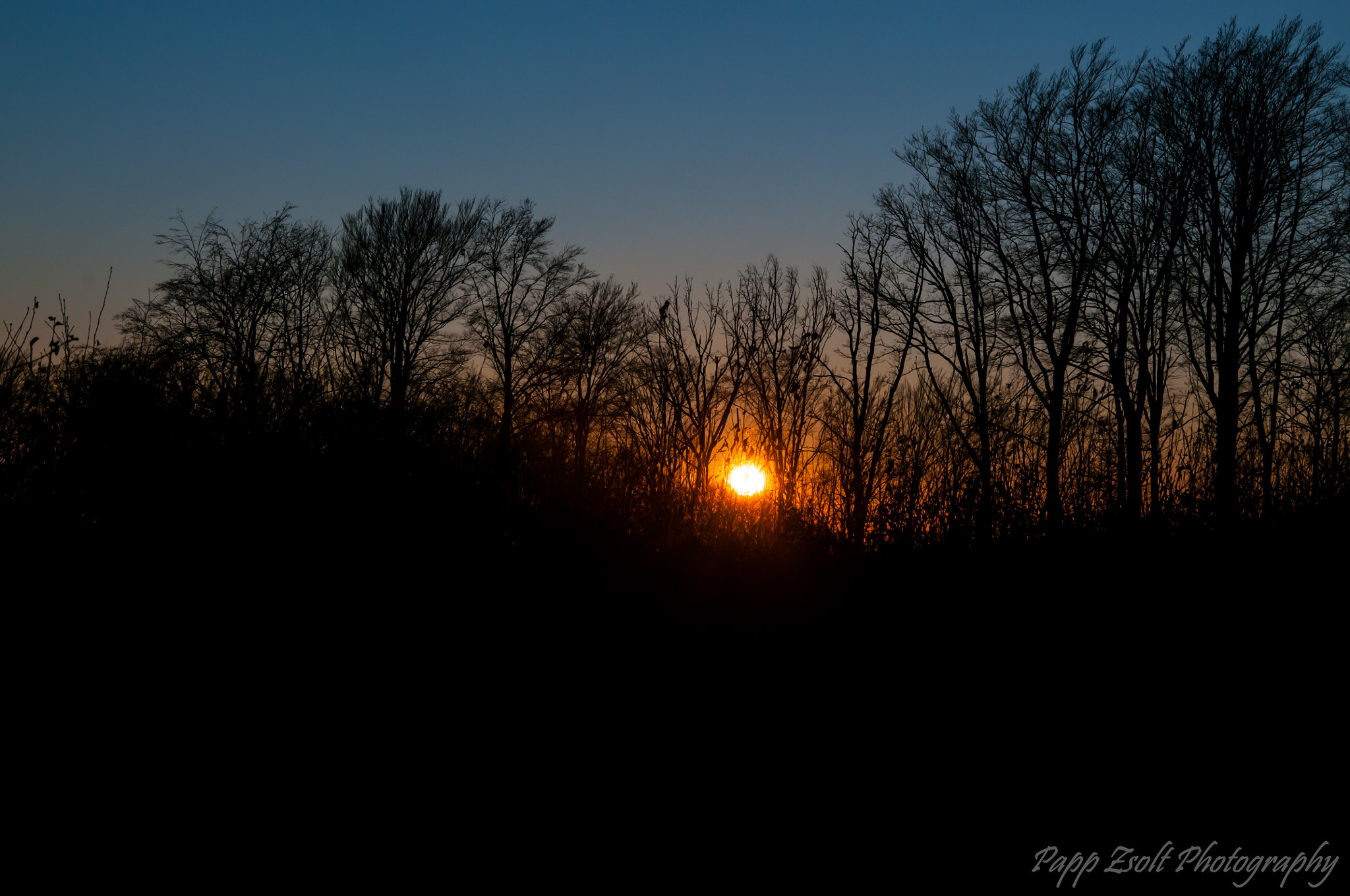 Nikon D300 sample photo. Matra sundown photography
