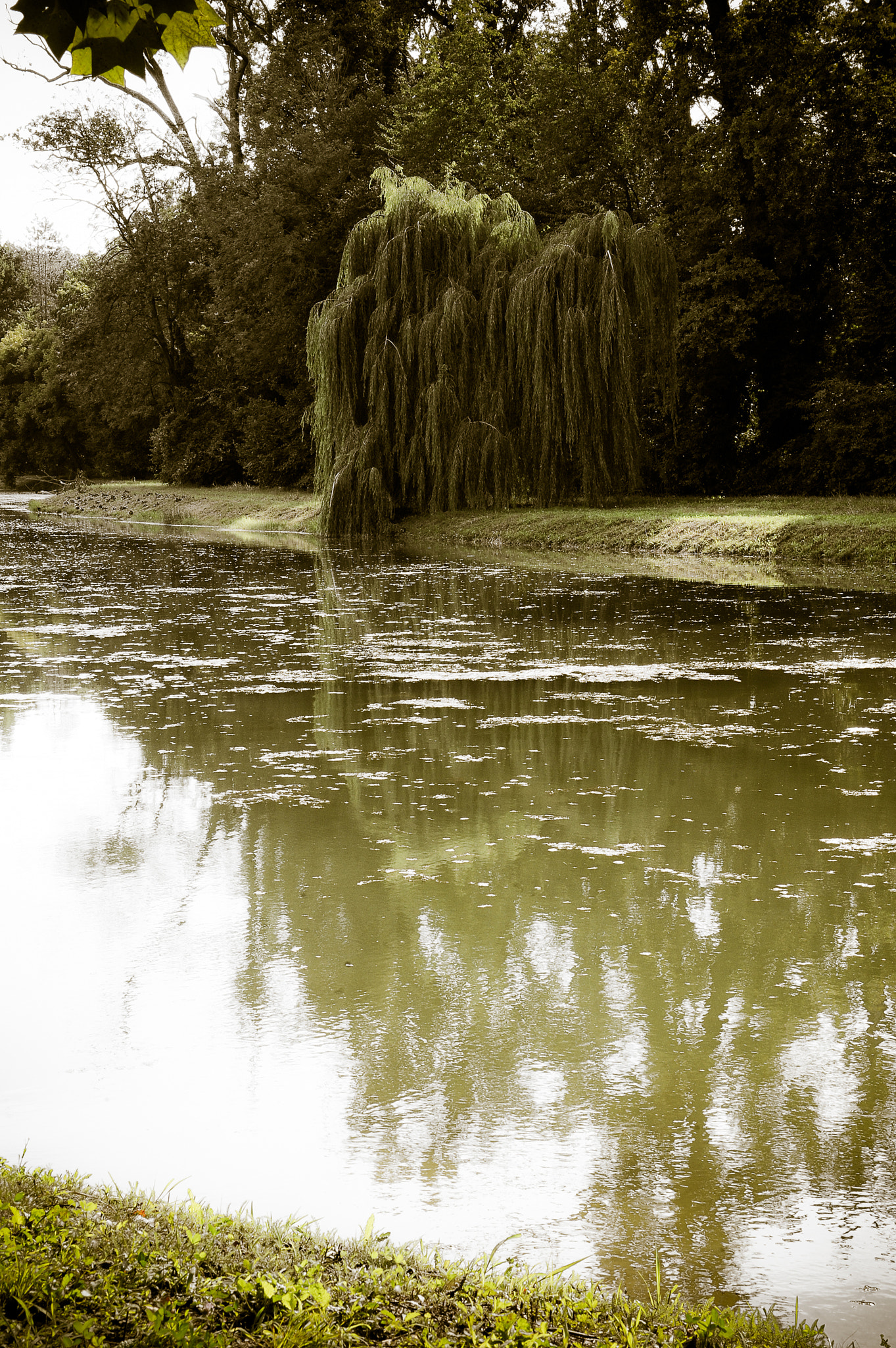 Nikon D700 + Sigma 24-70mm F2.8 EX DG Macro sample photo. Racconigi's park photography