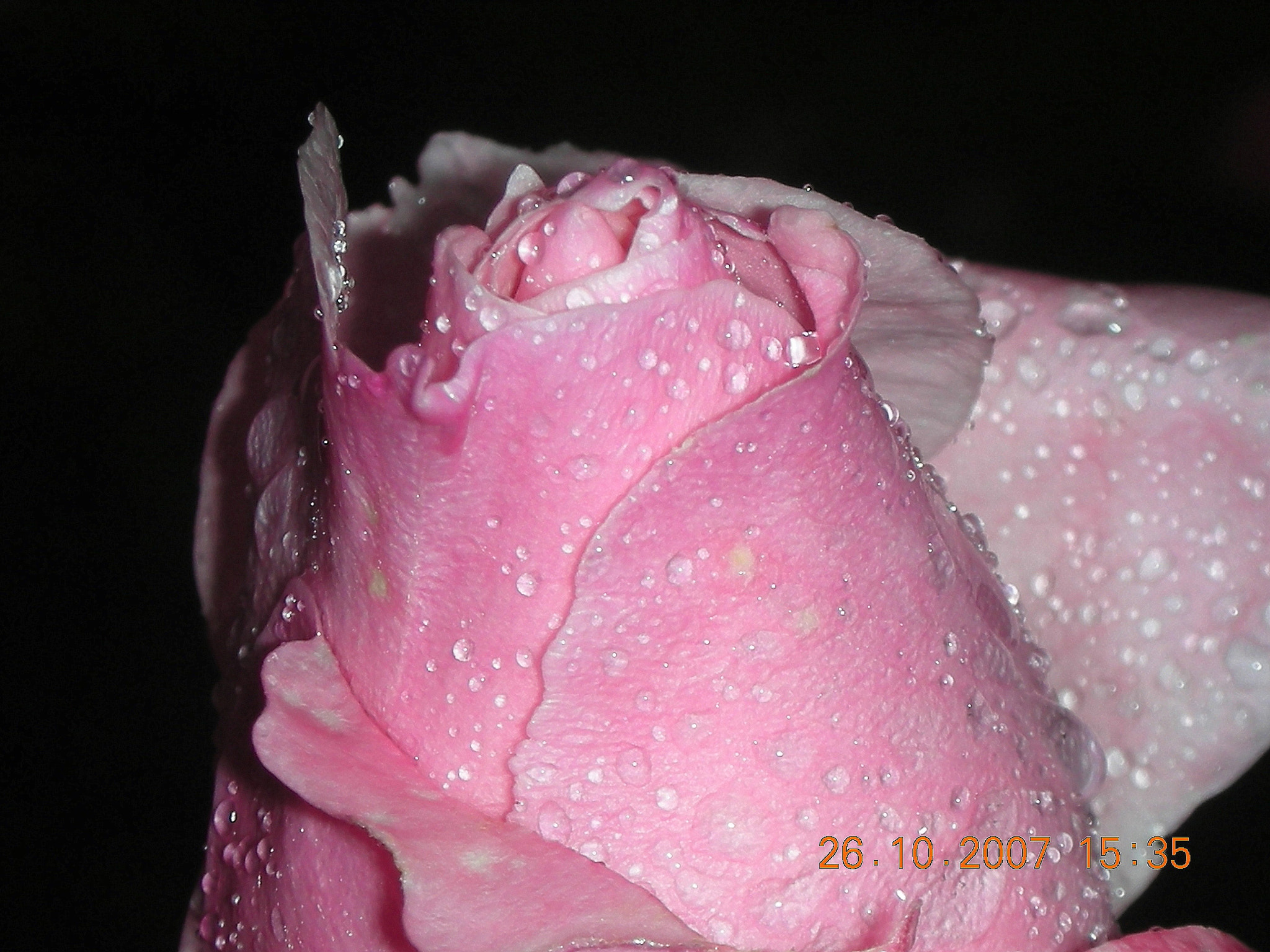 Nikon COOLPIX S6 sample photo