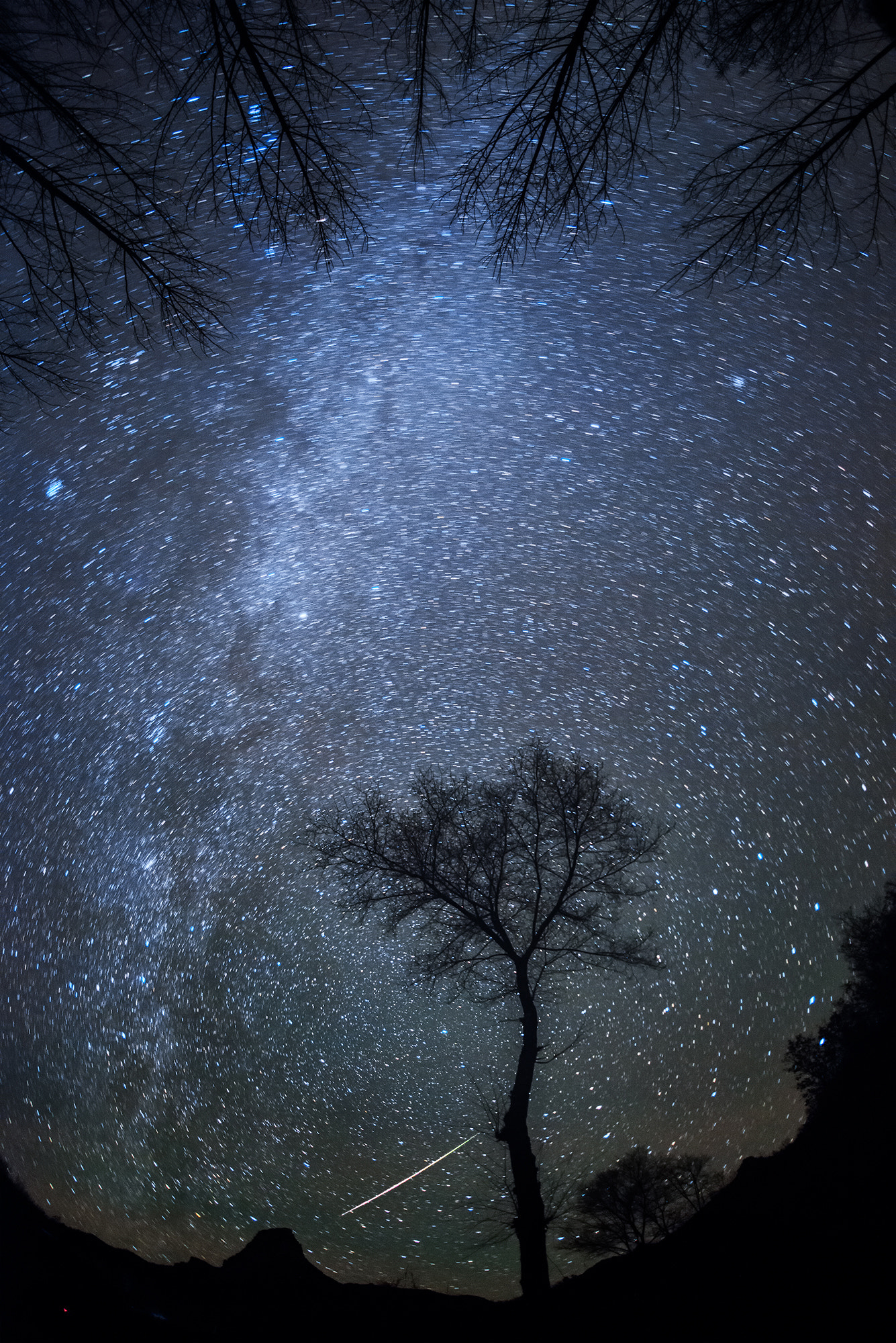 Nikon D610 + Sigma 15mm F2.8 EX DG Diagonal Fisheye sample photo. Dazzling milky way and shooting star photography