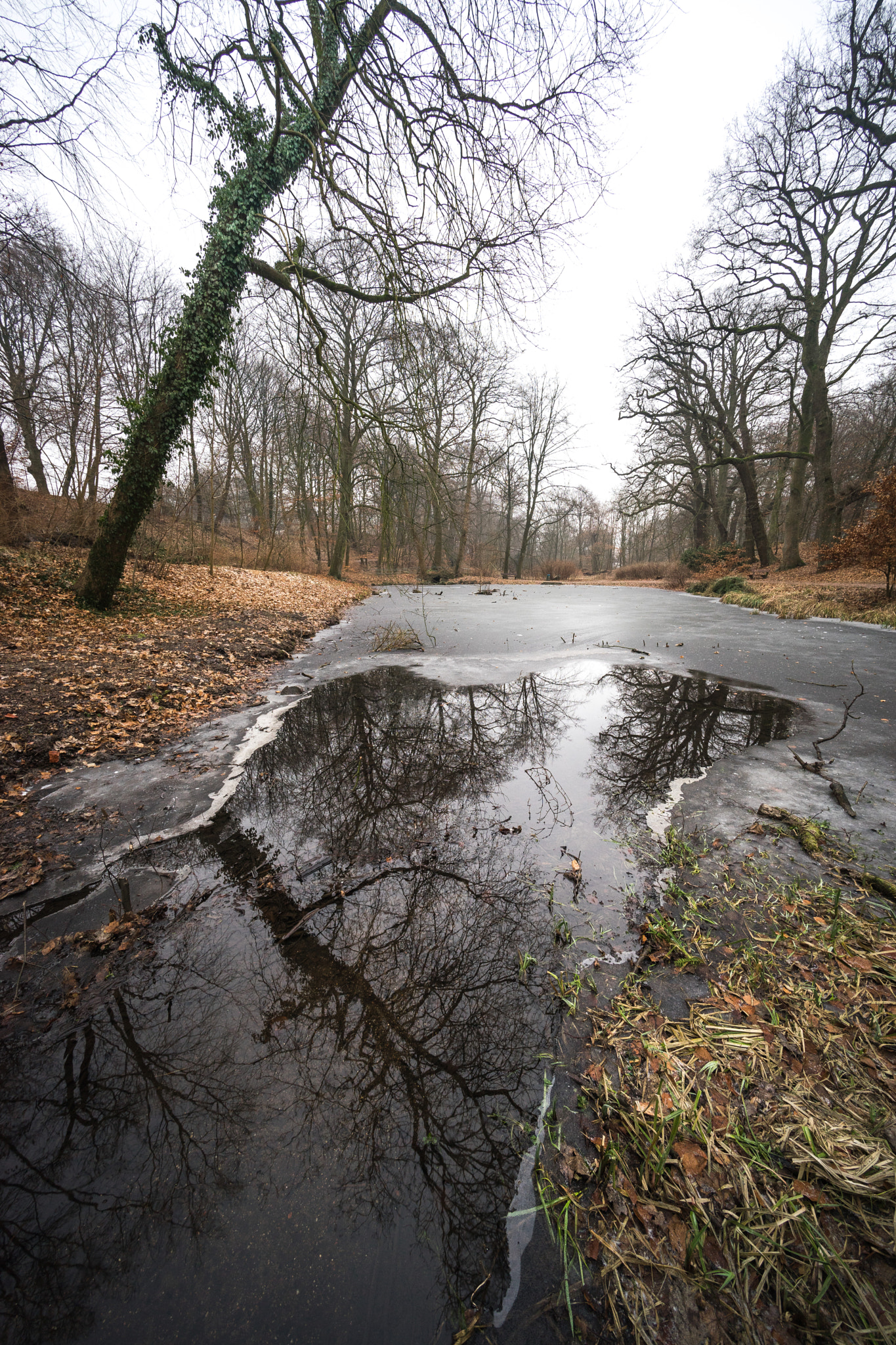 Sony a7 + Voigtlander ULTRA WIDE-HELIAR 12mm F5.6 III sample photo