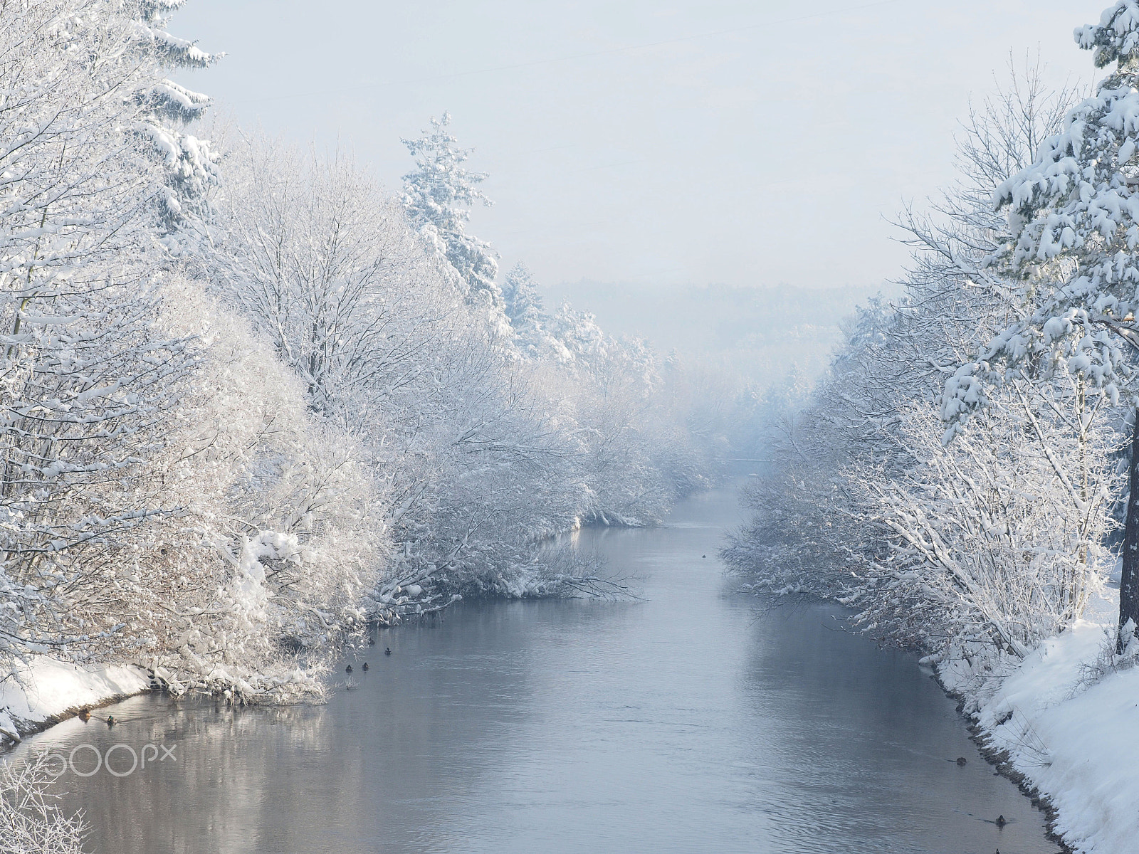 Olympus OM-D E-M1 sample photo. Winterstimmung photography