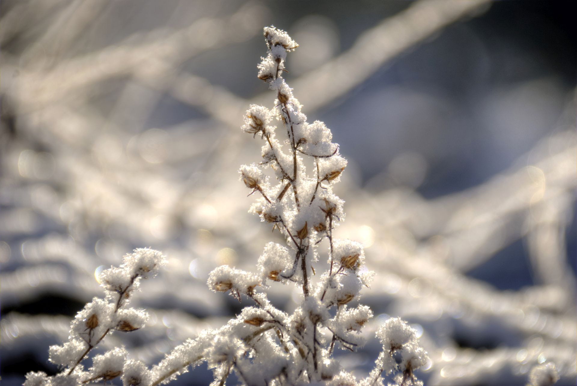 Nikon D3000 sample photo. . photography