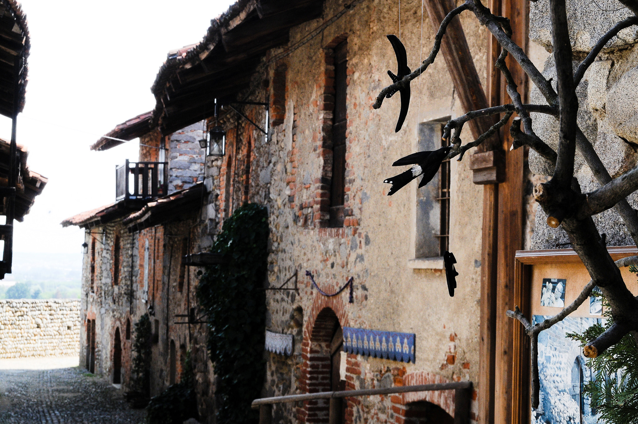 Sigma 18-50mm F2.8 EX DC sample photo. Riccetto photography