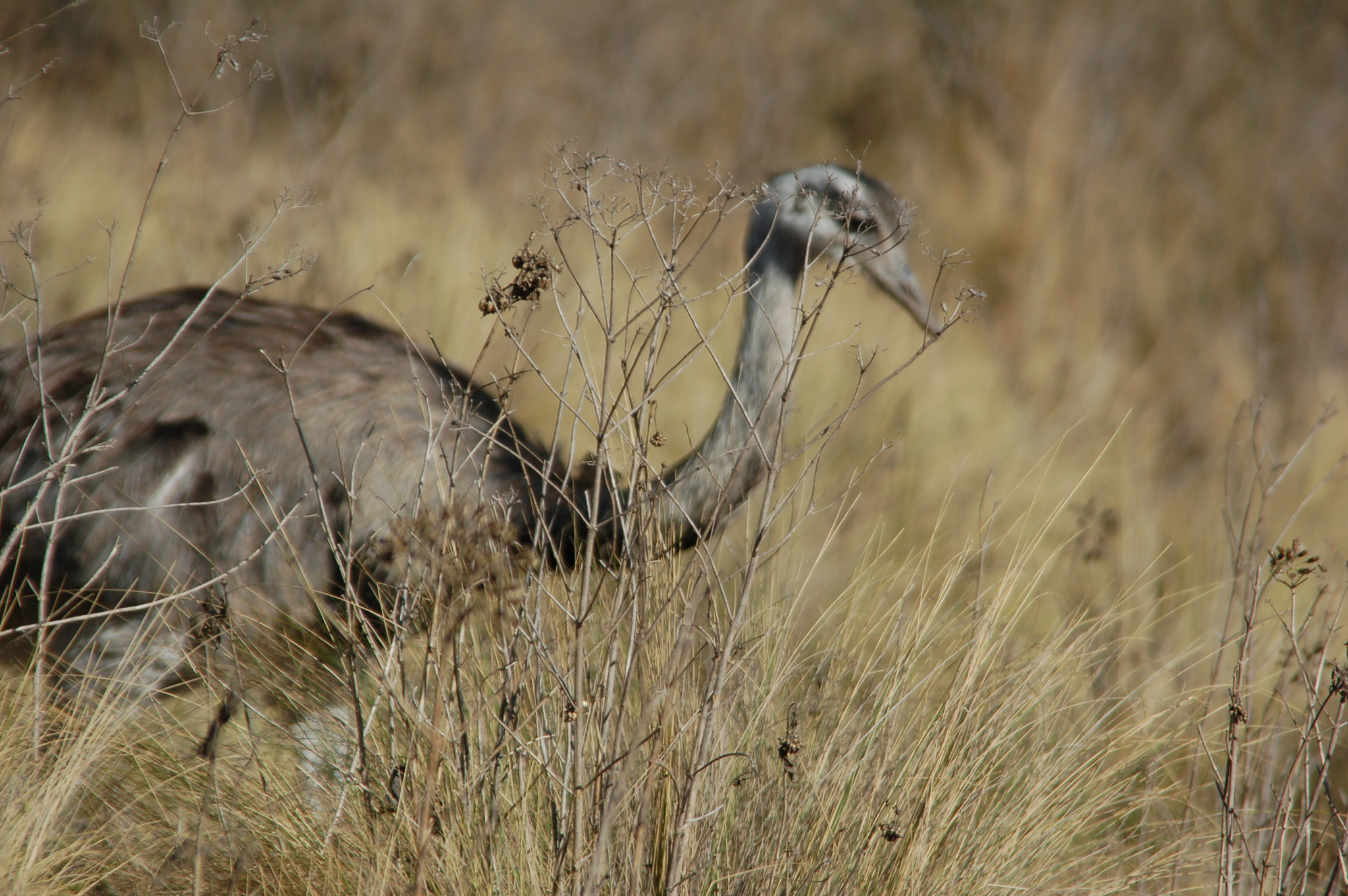 Sigma 28-200mm F3.5-5.6 Compact Aspherical Hyperzoom Macro sample photo. Dsc photography