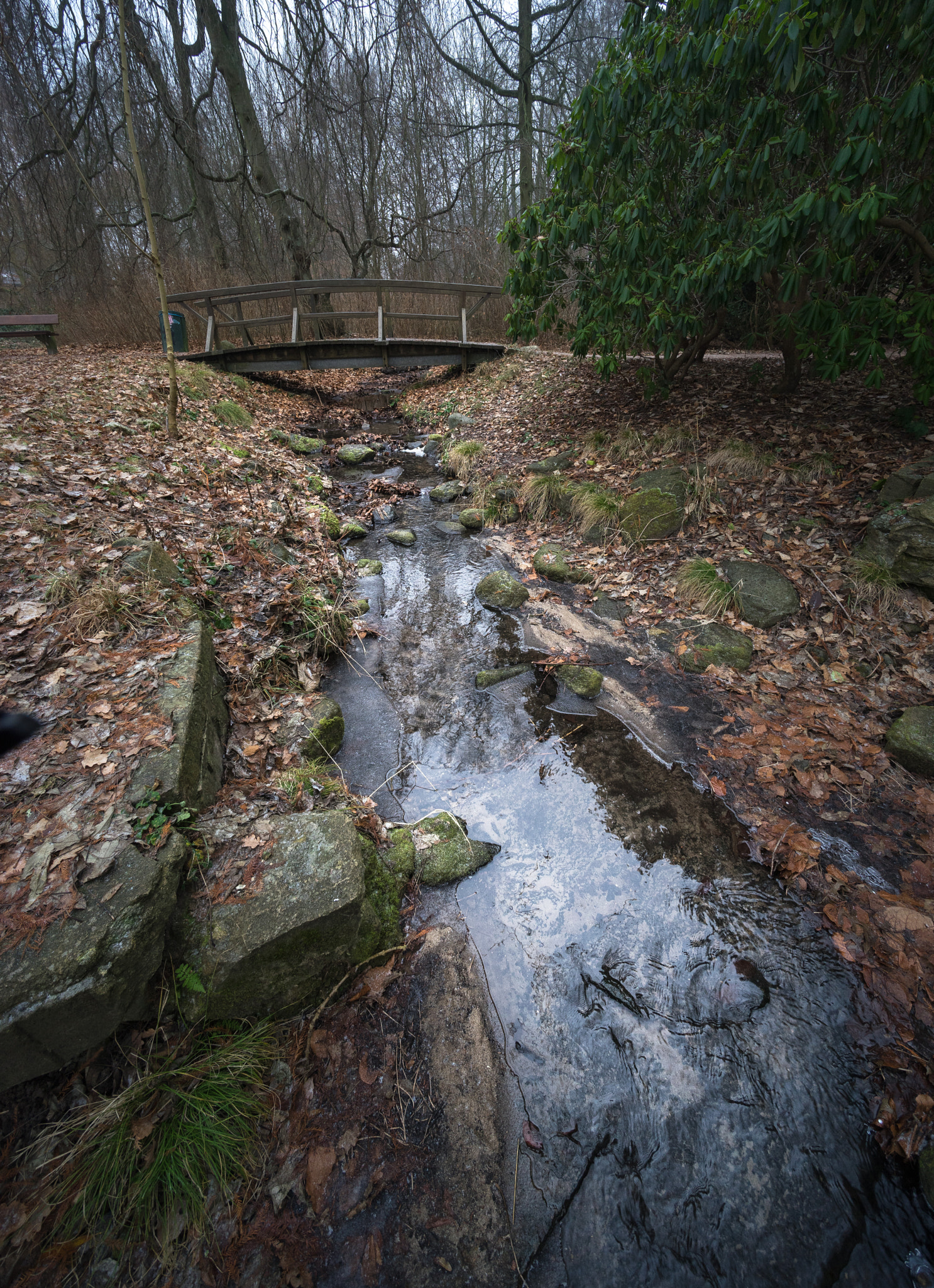 Voigtlander ULTRA WIDE-HELIAR 12mm F5.6 III sample photo