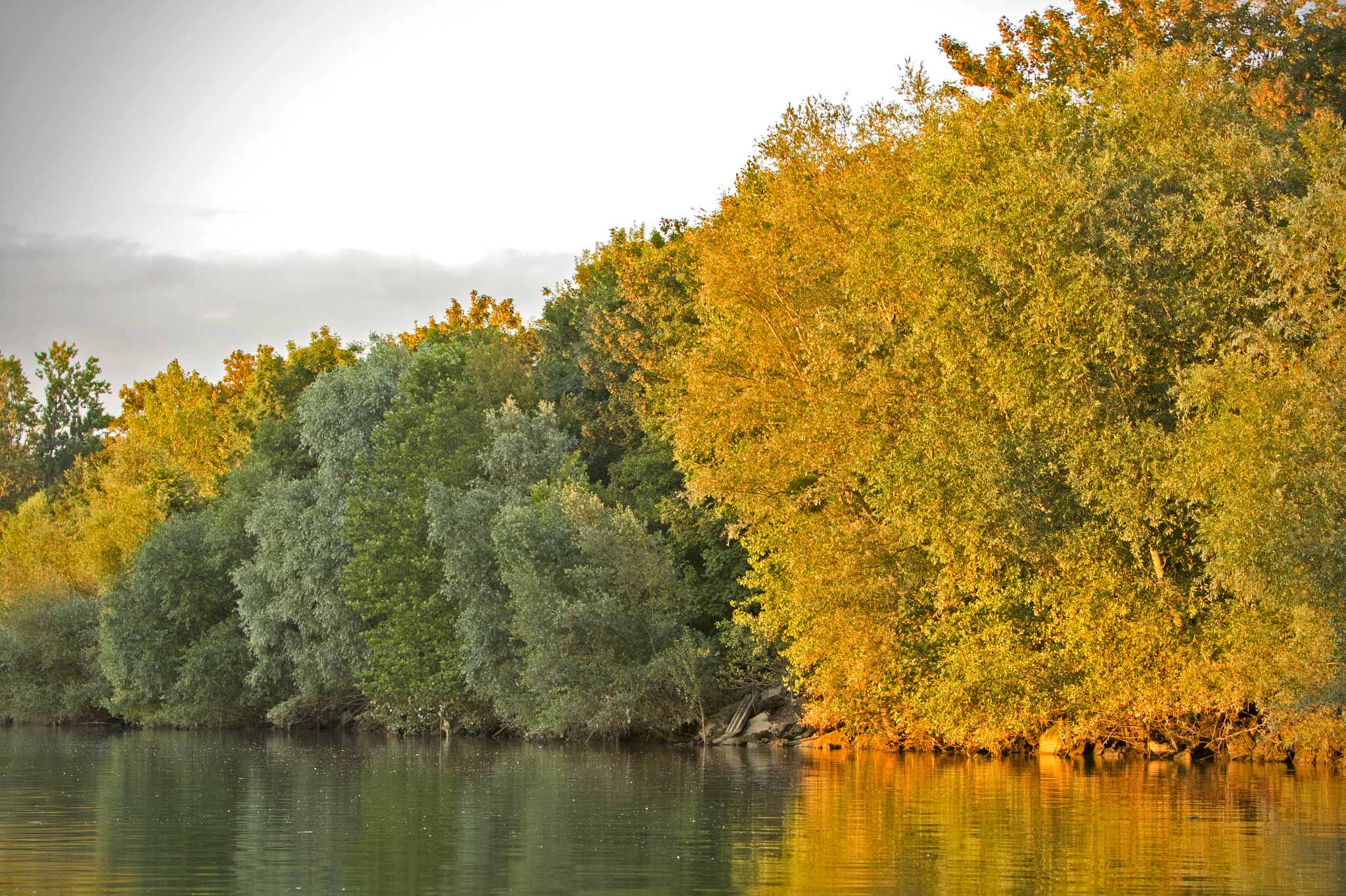 Canon EF 70-200mm F2.8L IS USM sample photo. Bord de seine photography