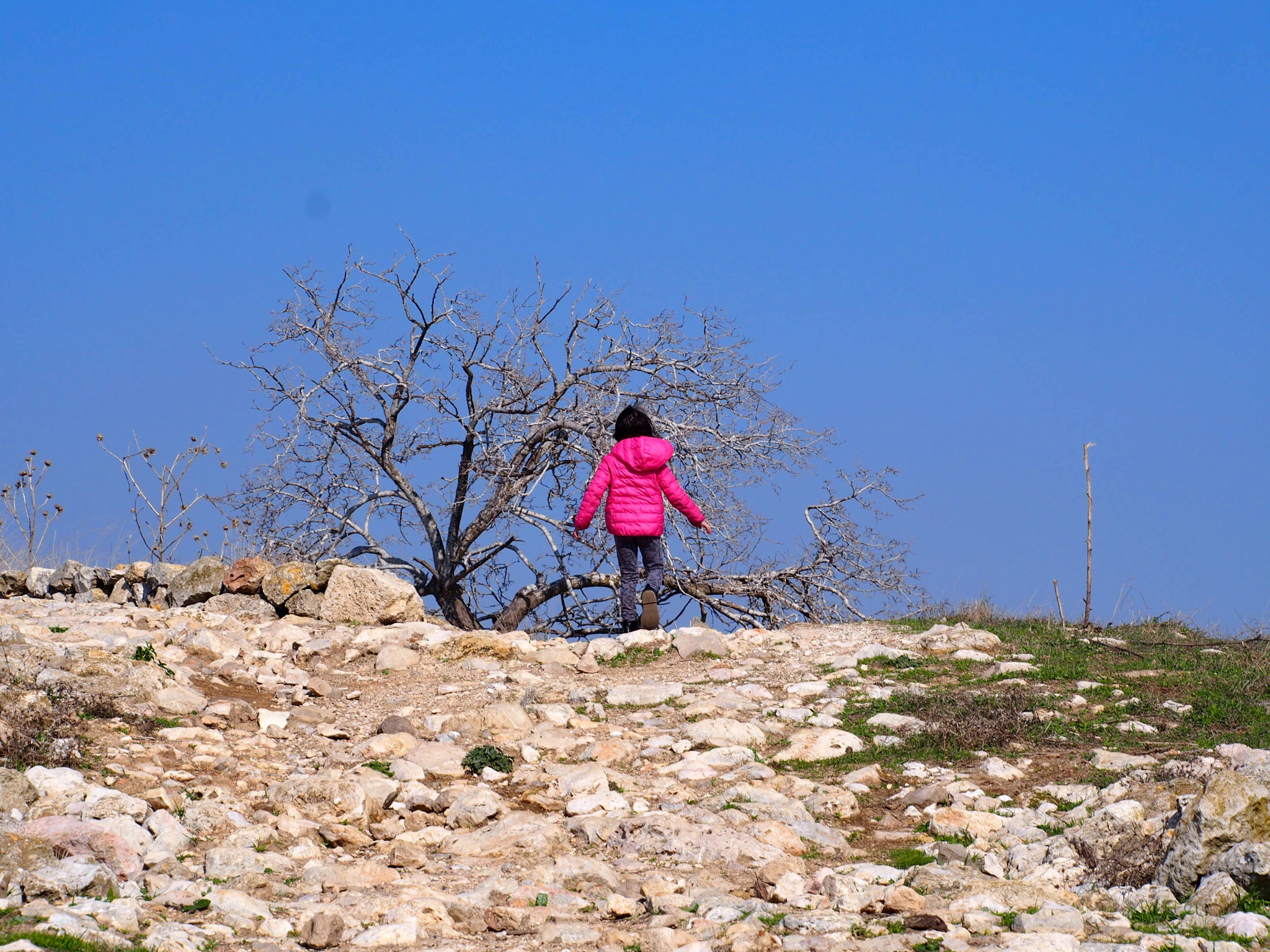 Olympus PEN E-PM2 + Tamron 14-150mm F3.5-5.8 Di III sample photo. The pinky girl photography