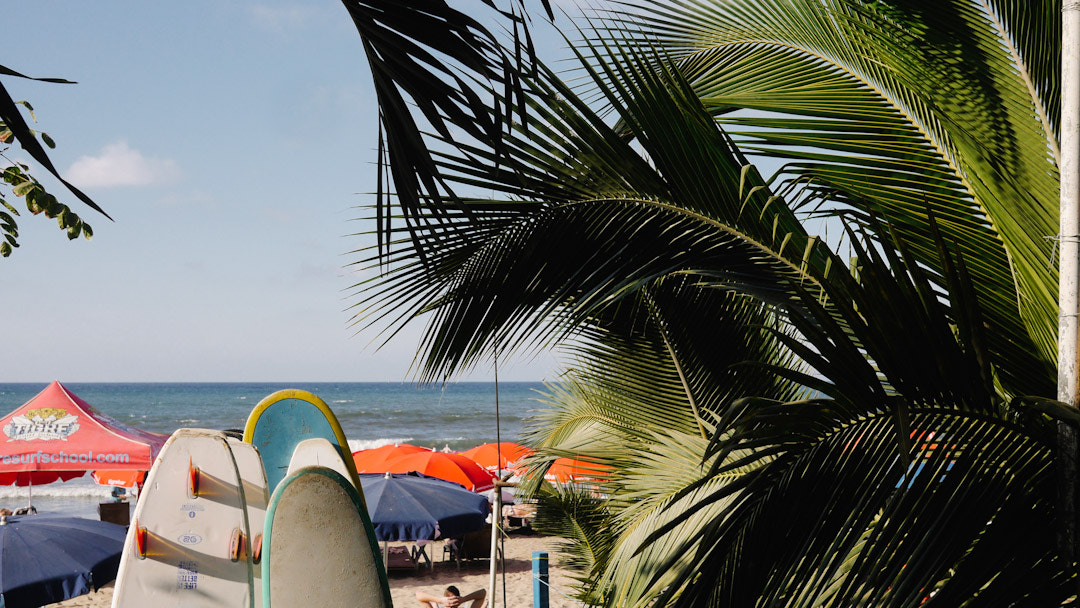 Panasonic Lumix DMC-GH3 + Panasonic Lumix G 20mm F1.7 ASPH sample photo. Temporada alta.  4 de enero 2017. sayulita nayarit.  #surf #palmeras #sombrillas #arena #mar photography