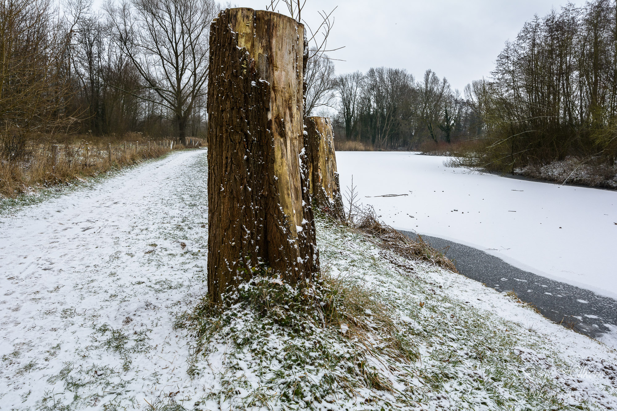 Tamron SP 15-30mm F2.8 Di VC USD sample photo. Just winter photography