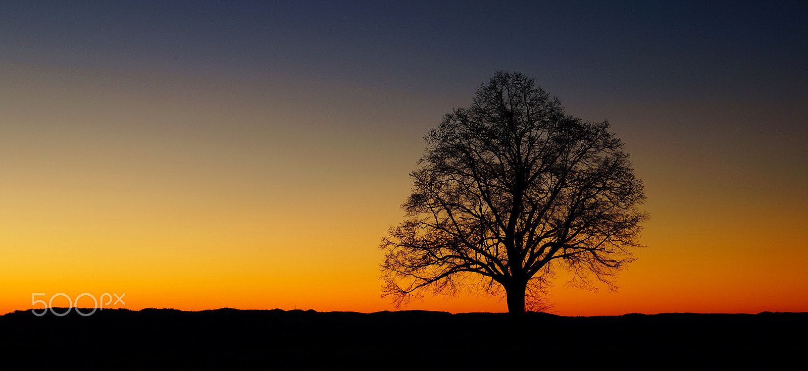 Sony SLT-A57 + Sony DT 16-50mm F2.8 SSM sample photo. Lonely tree photography