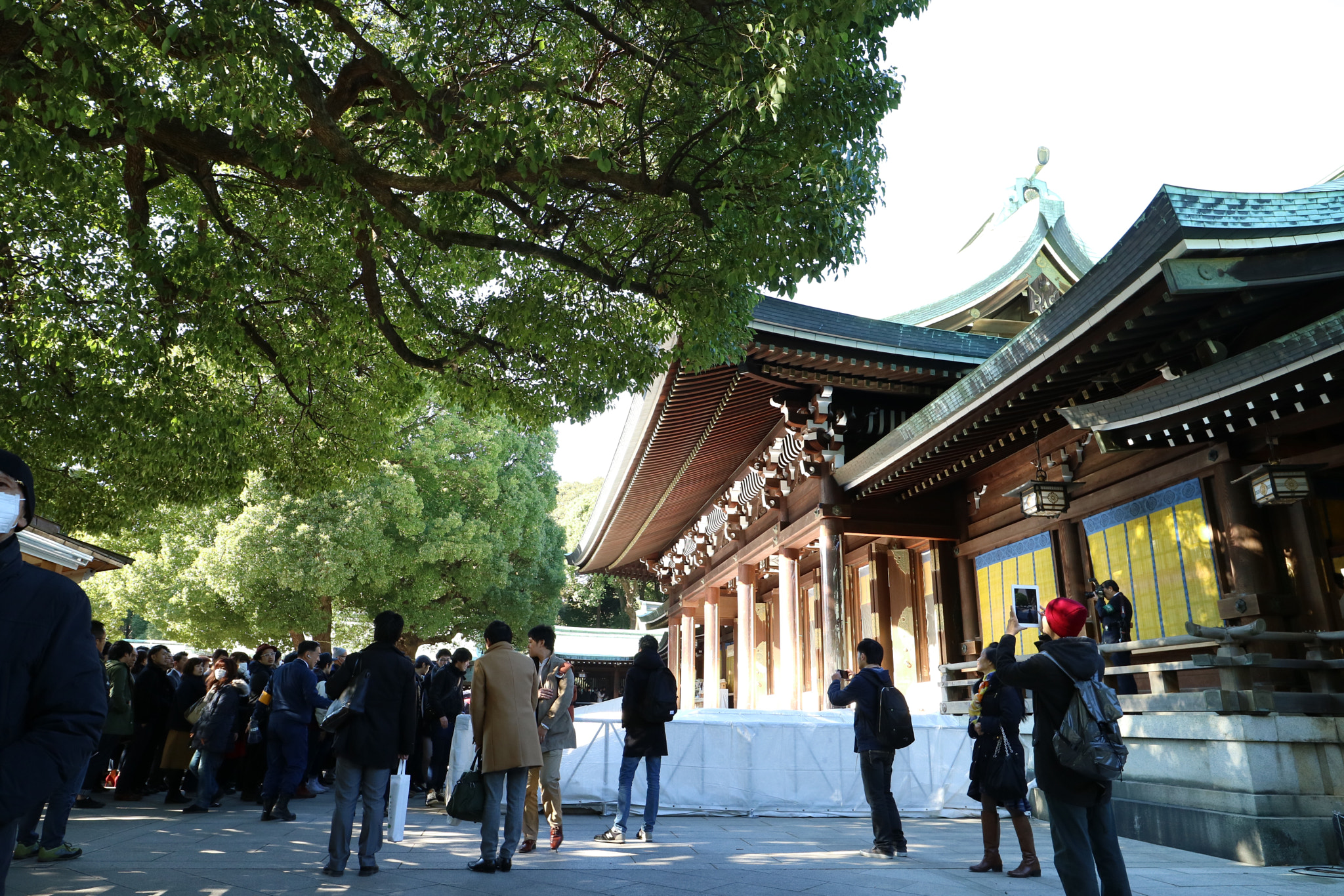 Canon EF-M 11-22mm F4-5.6 IS STM sample photo. In the new year . photography