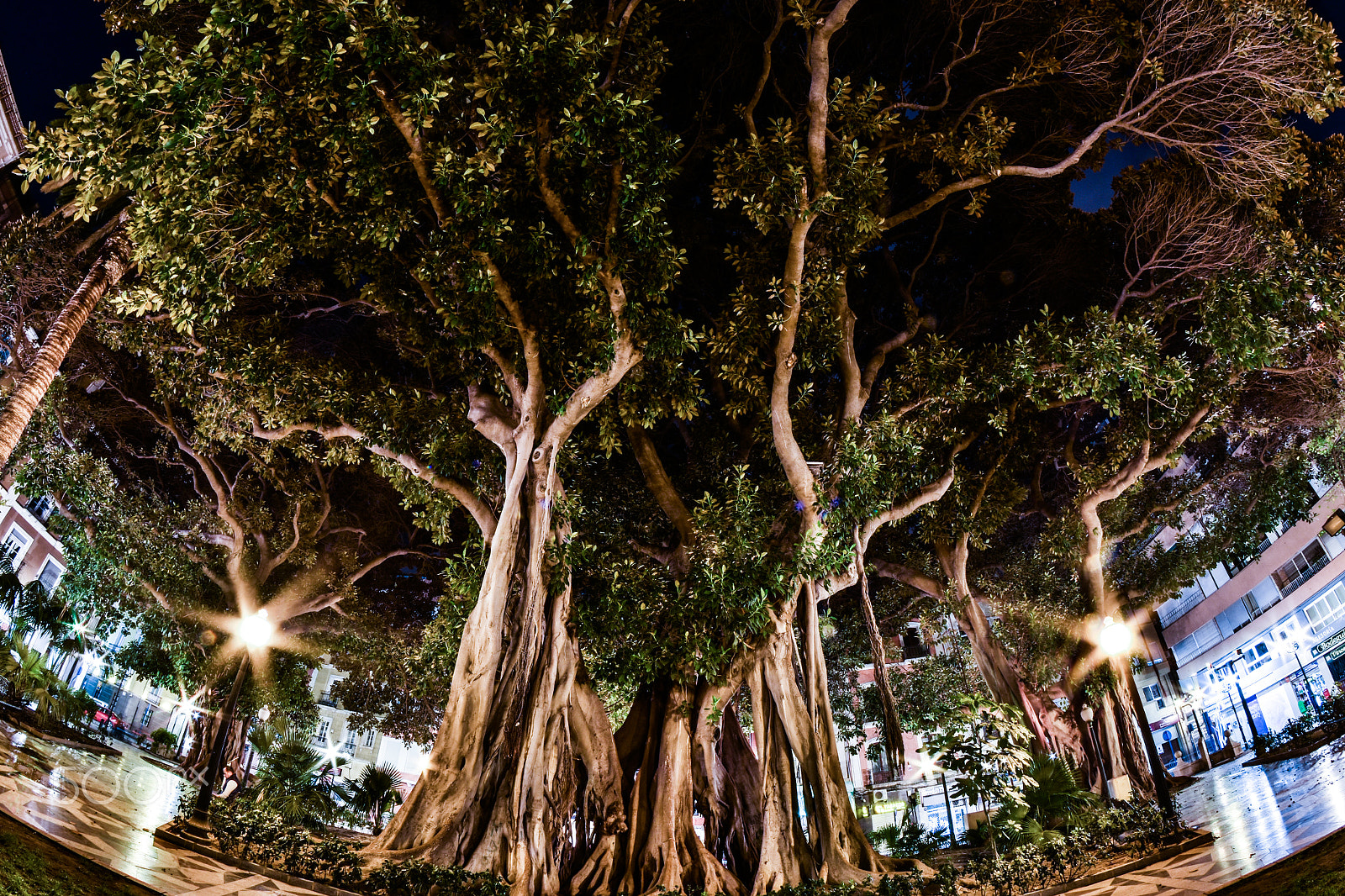 Nikon D7200 + Samyang 8mm F3.5 Aspherical IF MC Fisheye sample photo. Alicante photography