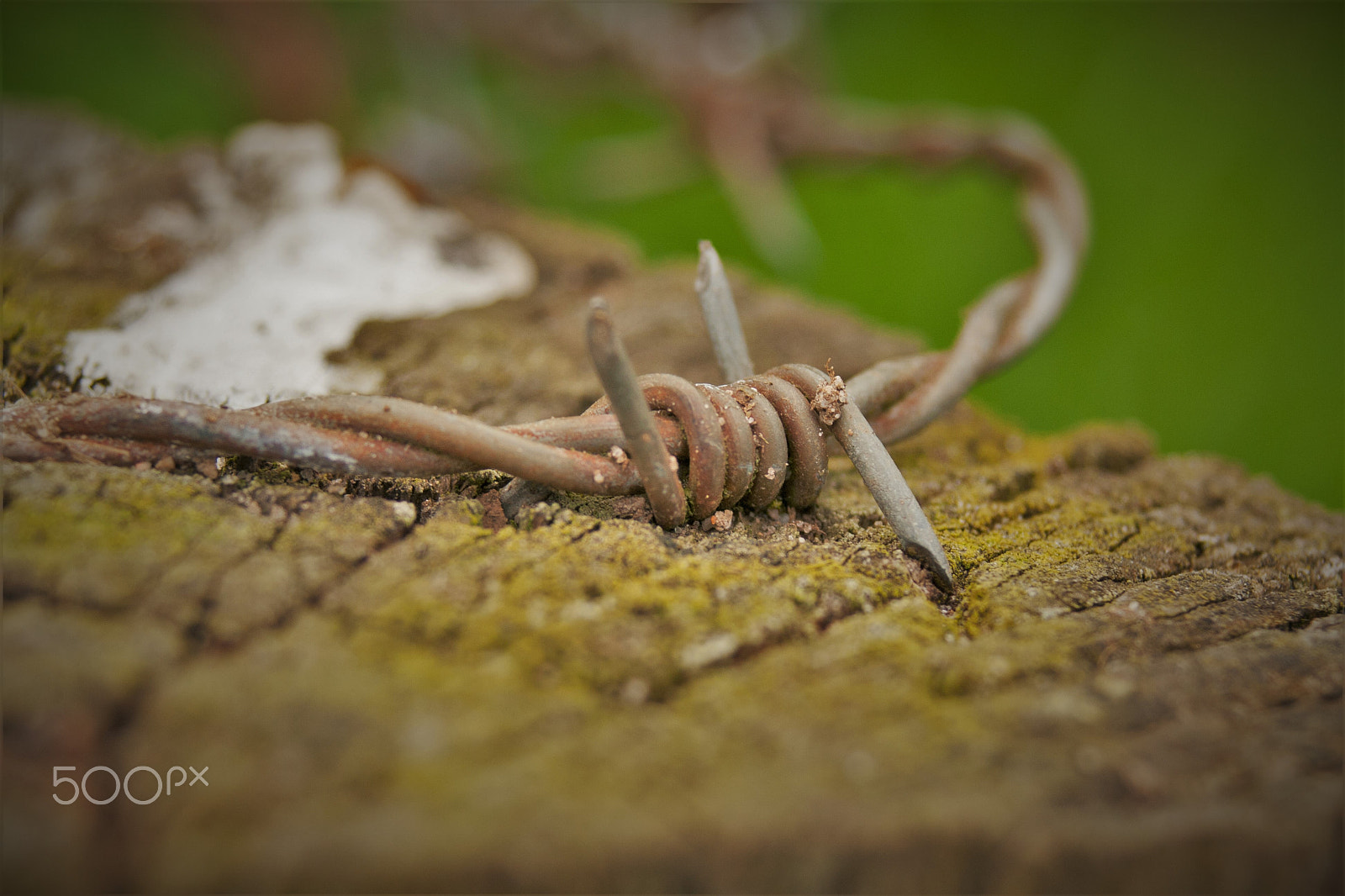 Sigma 28-80mm f/3.5-5.6 II Macro sample photo. Barbed wire photography