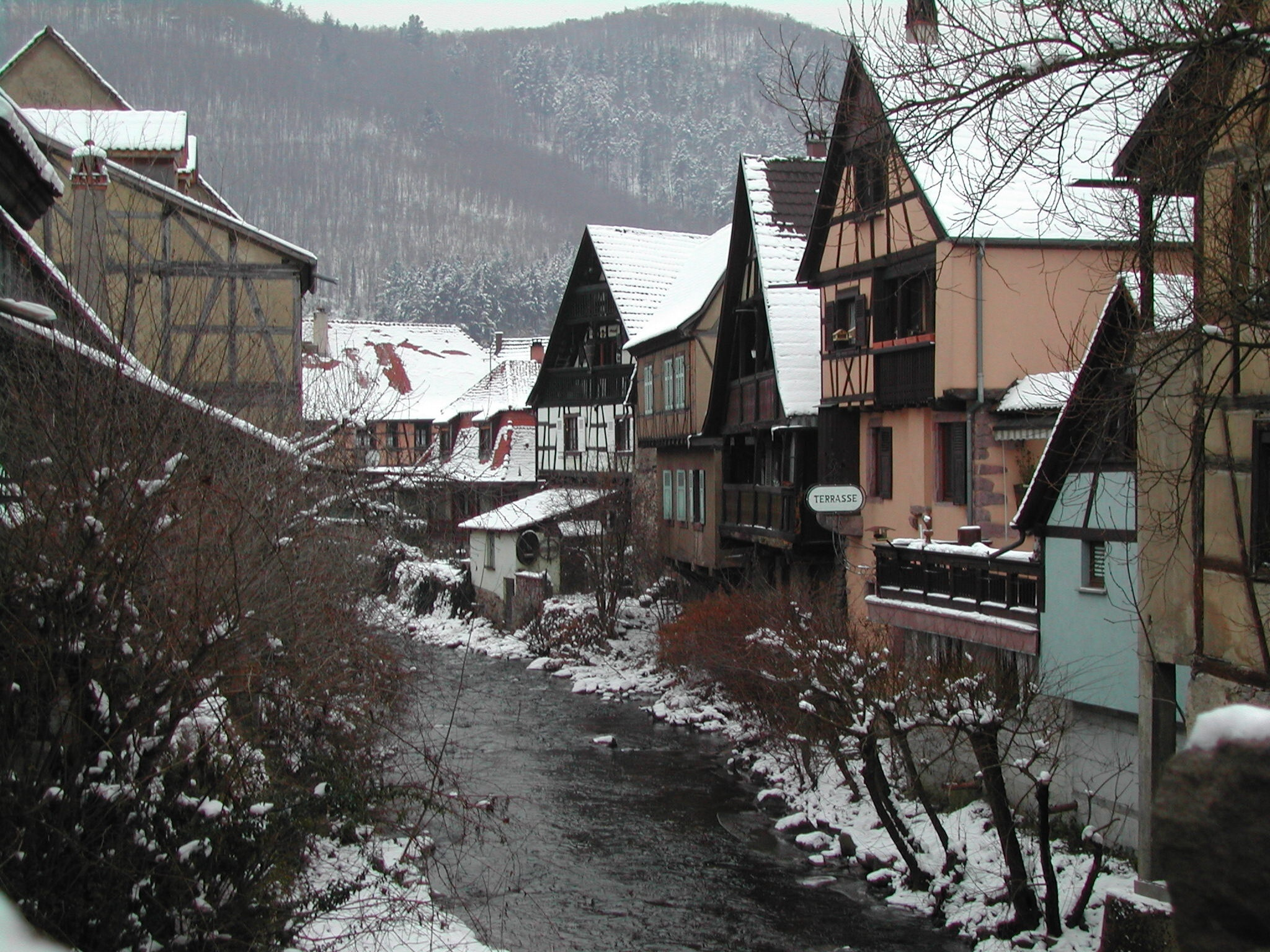 Kodak Picture Maker G3 sample photo. Frozen alsacian villarejo photography