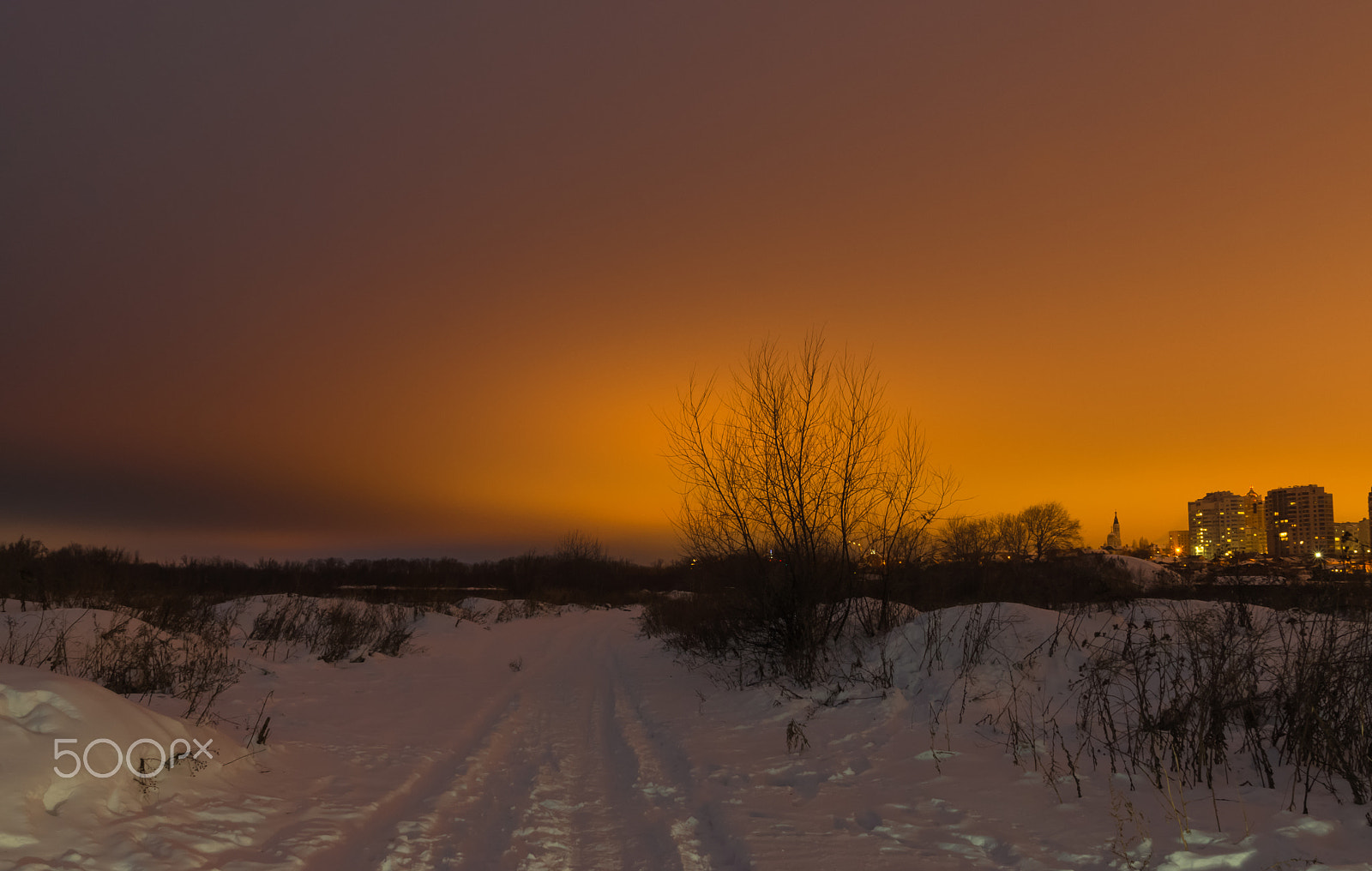 Sony SLT-A65 (SLT-A65V) + Sony DT 16-50mm F2.8 SSM sample photo. Golden evening photography