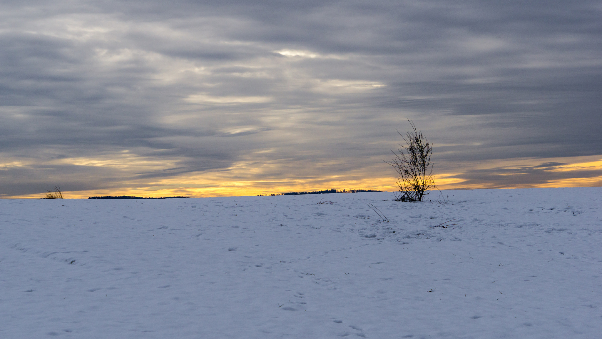 Sony a6000 + Sony FE 24-240mm F3.5-6.3 OSS sample photo. Pure winter photography