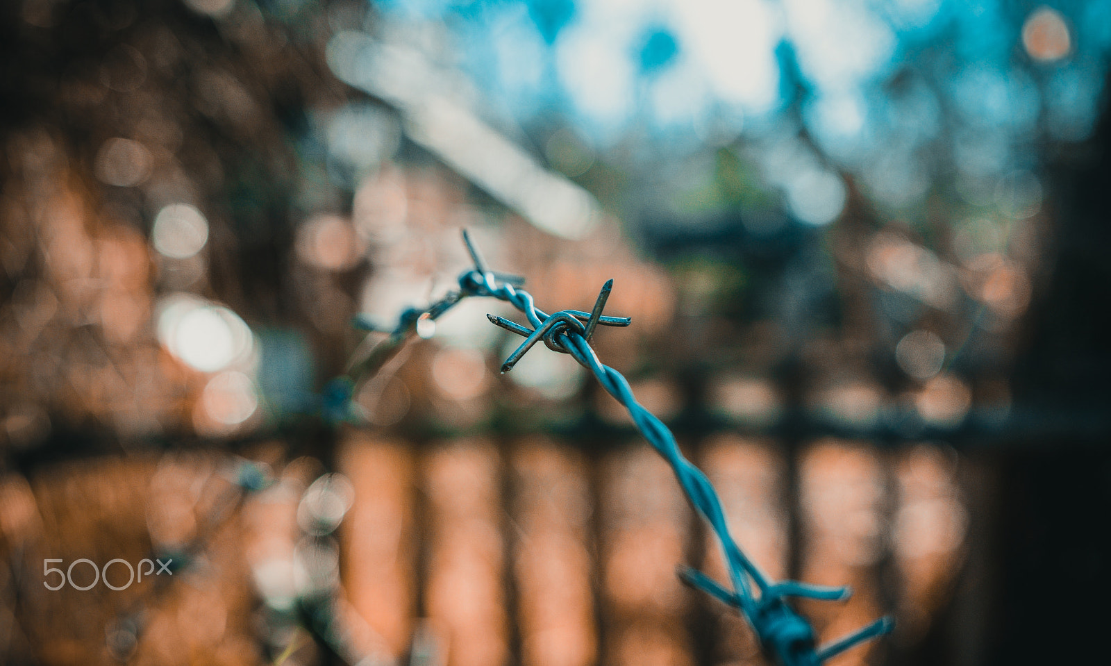 Nikon D5300 + Sigma 18-35mm F1.8 DC HSM Art sample photo. Barbed wire bookeh photography