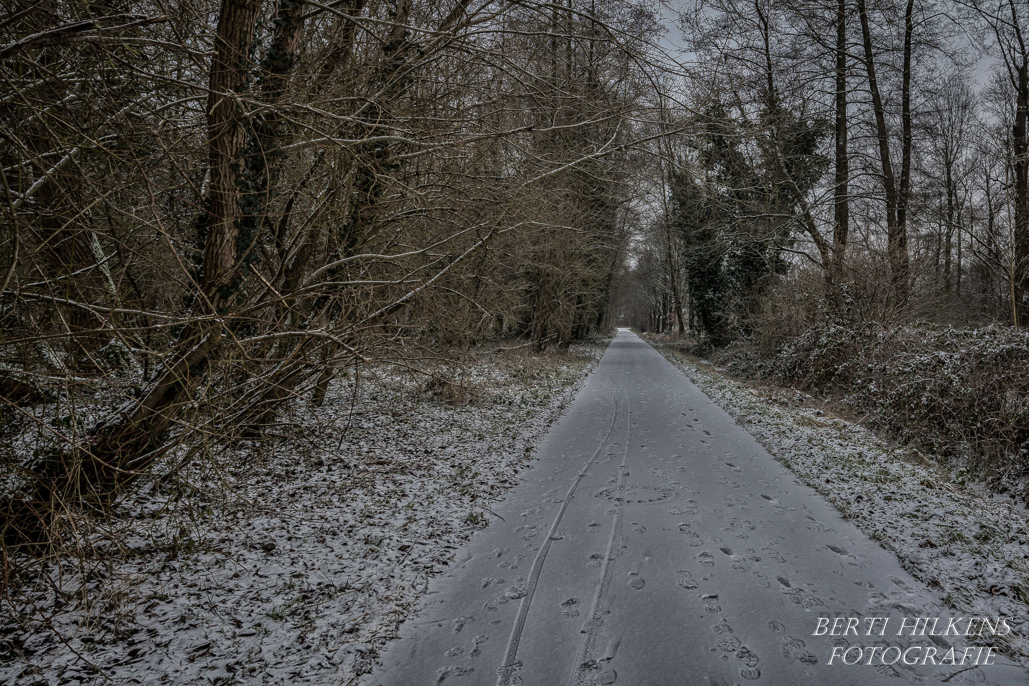 Tamron SP 15-30mm F2.8 Di VC USD sample photo. Just winter photography