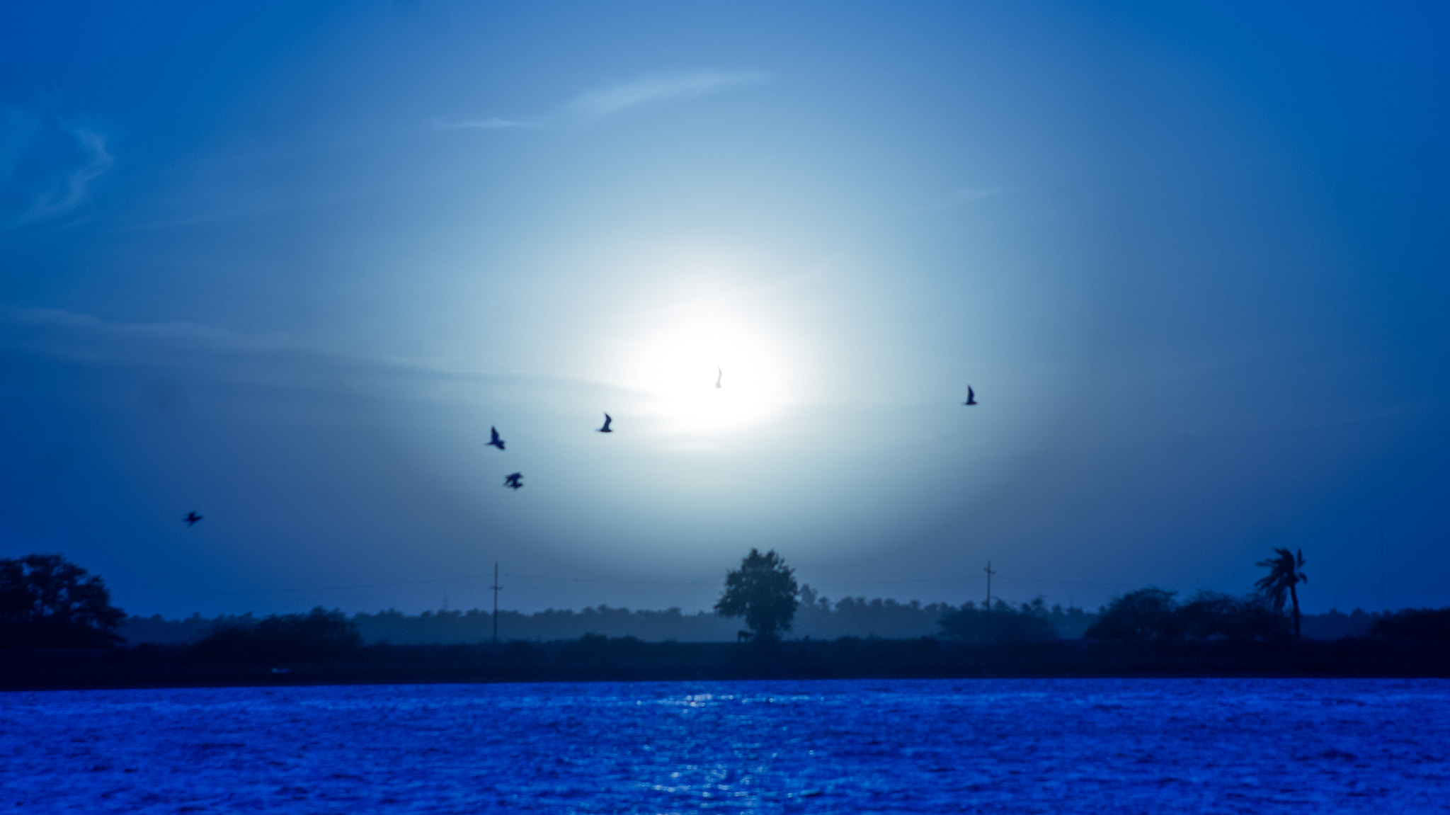 Sony SLT-A35 sample photo. Blue sky photography