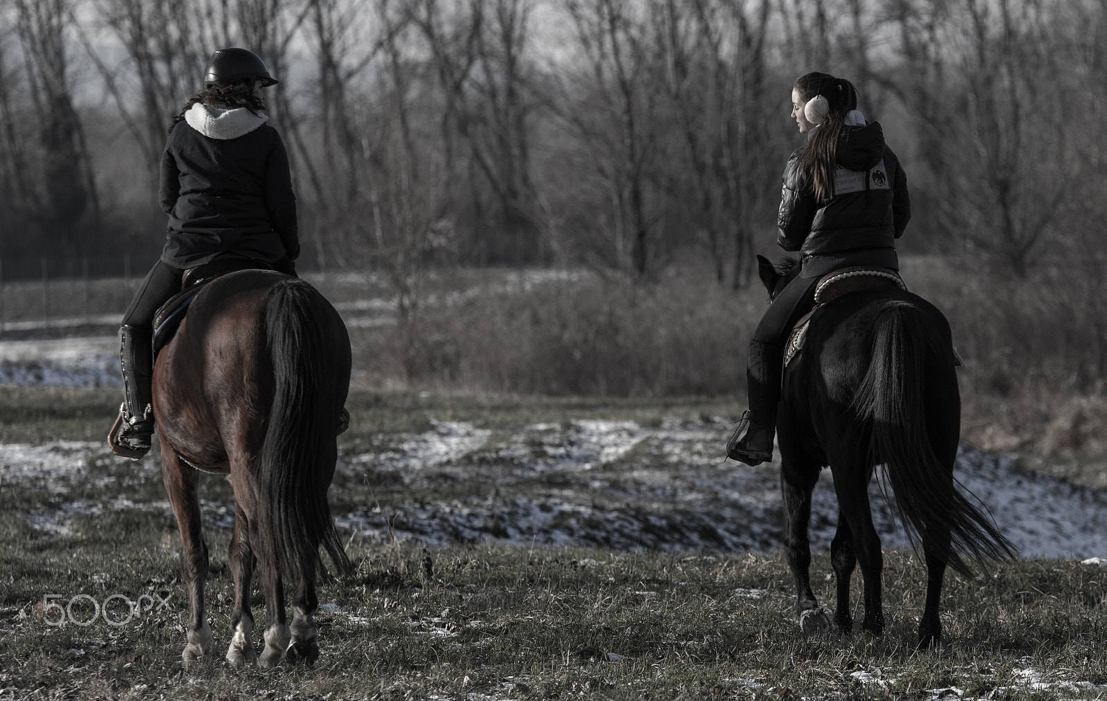 Sigma 70-200mm F2.8 EX DG OS HSM sample photo. Horse riding photography