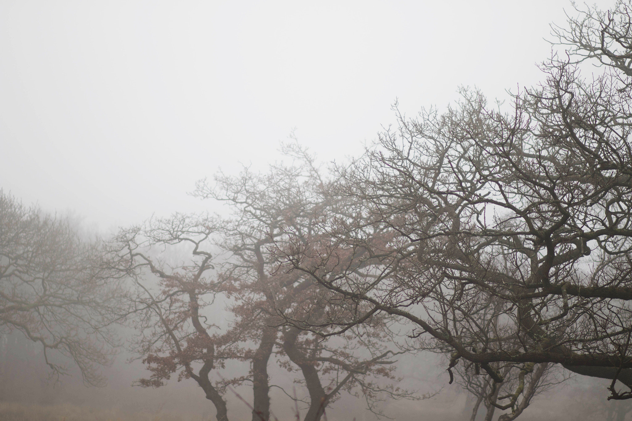 Canon EF 85mm F1.8 USM sample photo. Exposure photography