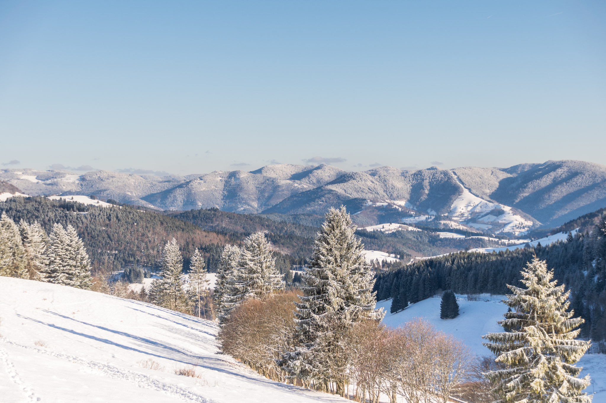 Sigma 18-250mm F3.5-6.3 DC Macro OS HSM sample photo. Black forrest winter photography