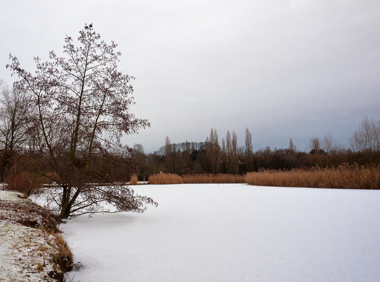 Panasonic Lumix DMC-G1 sample photo. The frozen lake photography