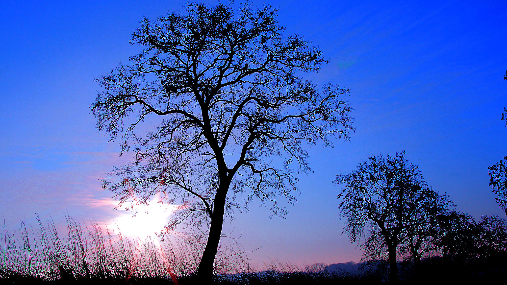Canon EF 24mm F1.4L II USM sample photo. Sunrise photography
