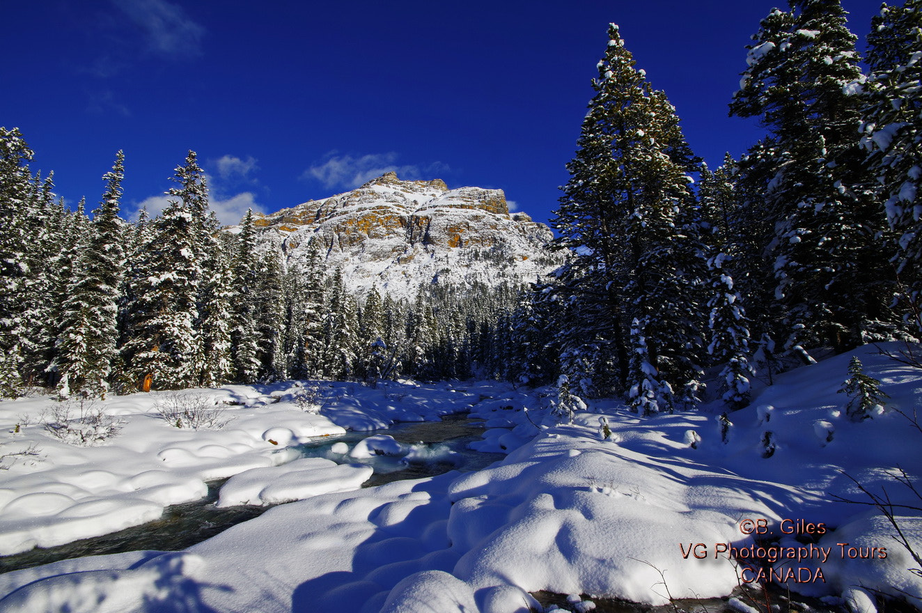 Sigma AF 10-20mm F4-5.6 EX DC sample photo. Last open water photography