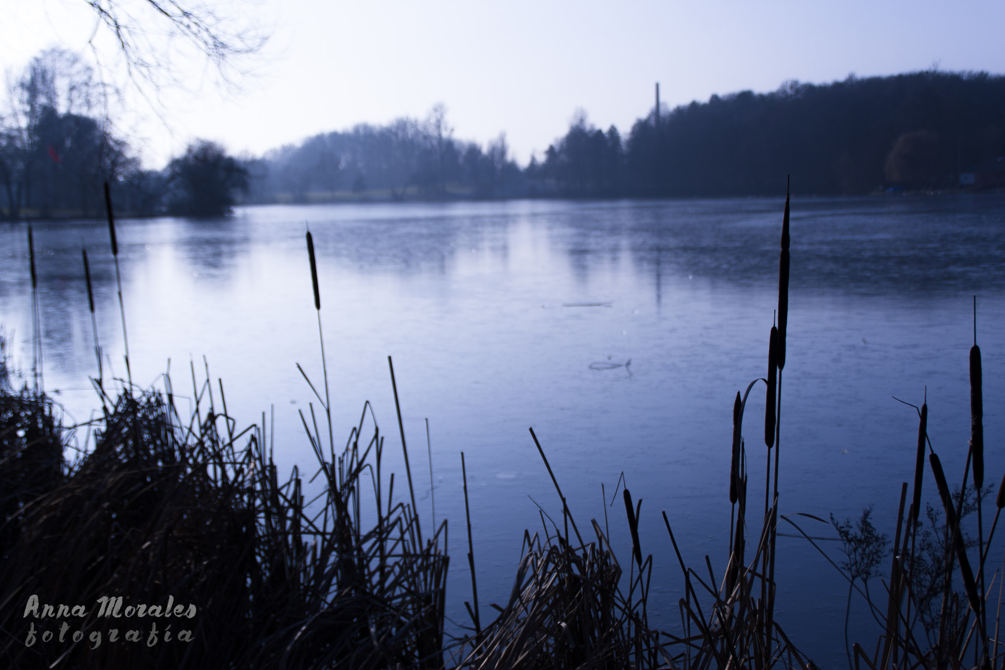 Canon EOS 40D sample photo. Kiessee lake. photography