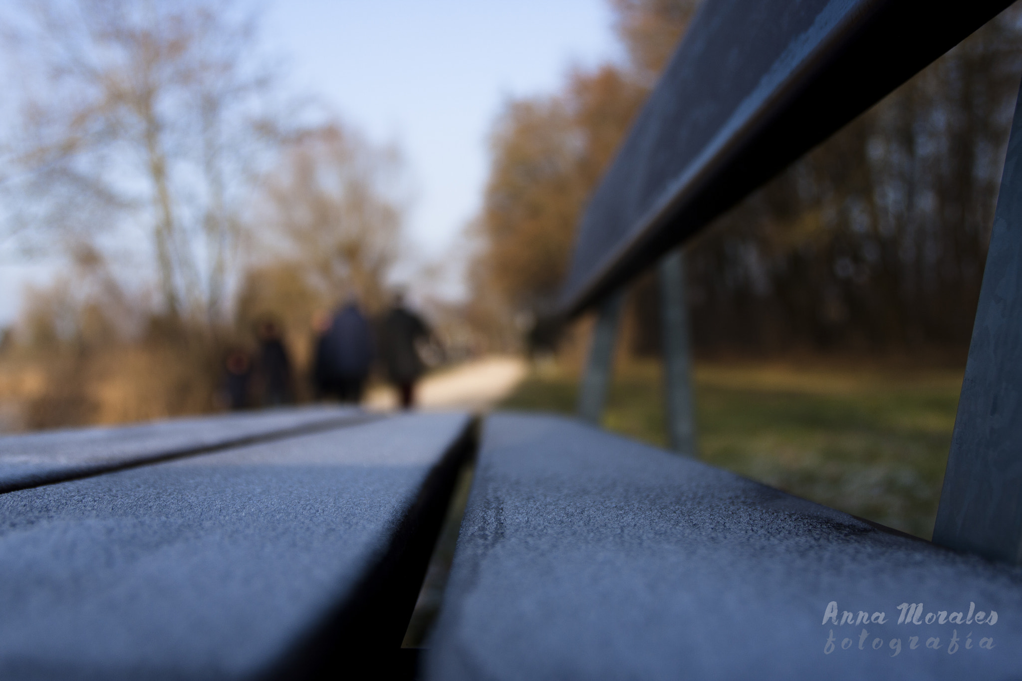 Canon EOS 40D sample photo. Kiessee lake. photography