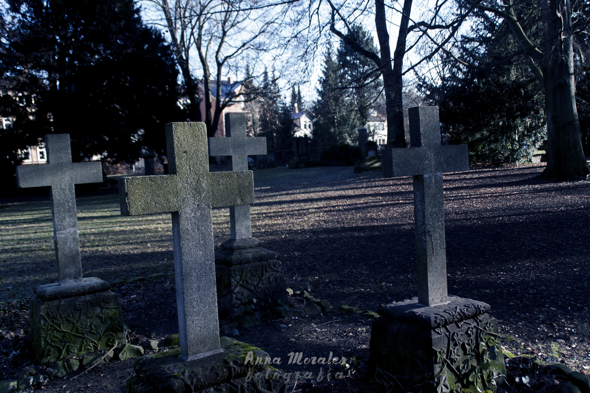 Canon EOS 40D sample photo. Stadtfriedhof. photography