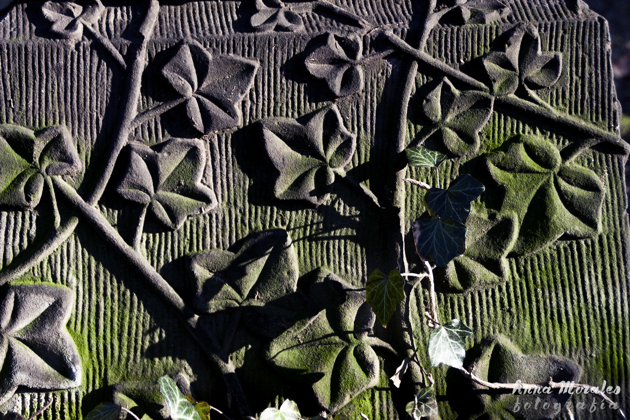 Canon EOS 40D sample photo. Stadtfriedhof. photography