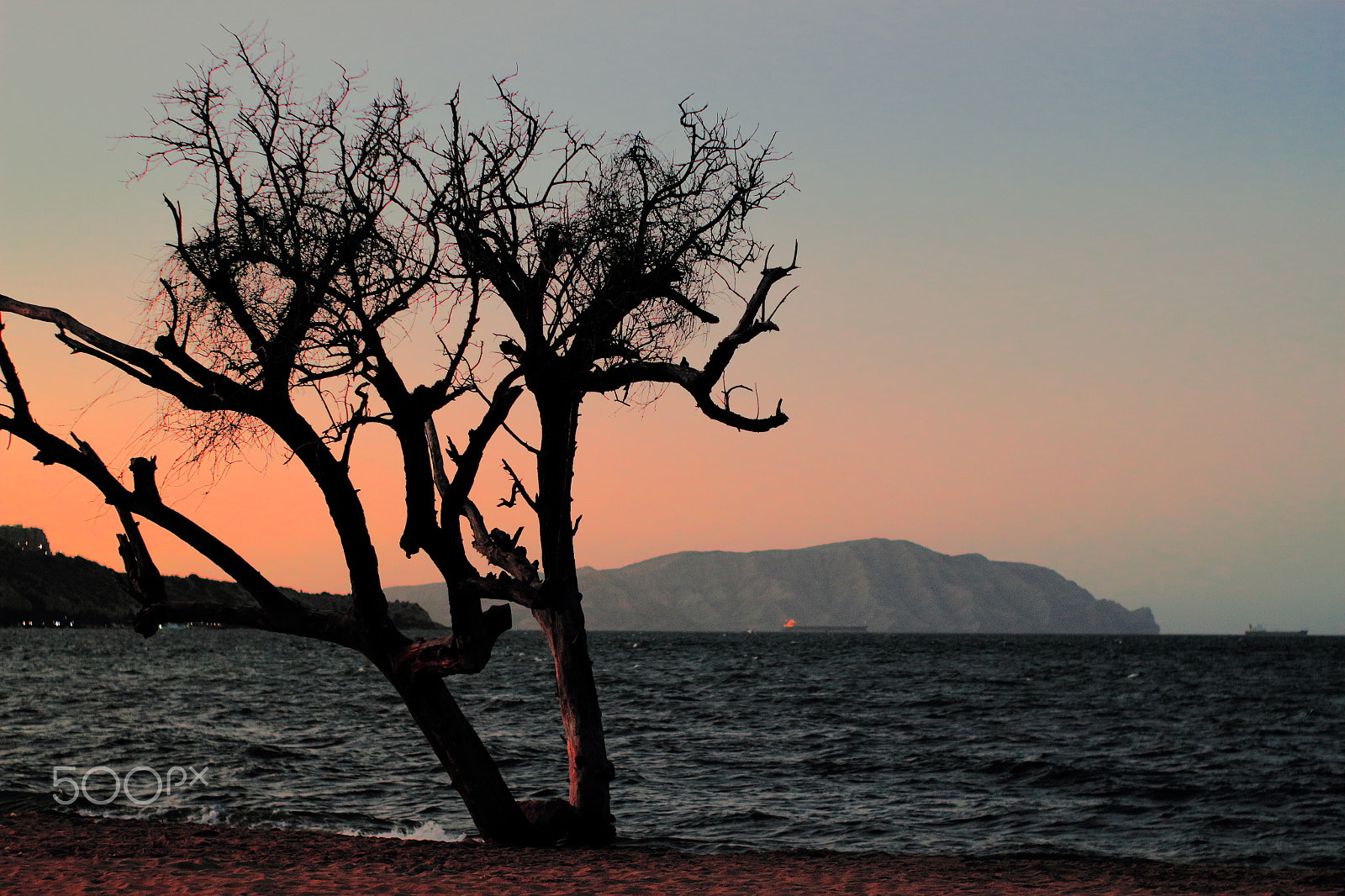 Canon EOS 550D (EOS Rebel T2i / EOS Kiss X4) + Canon 50mm sample photo. Me siento, observo y me pierdo... photography