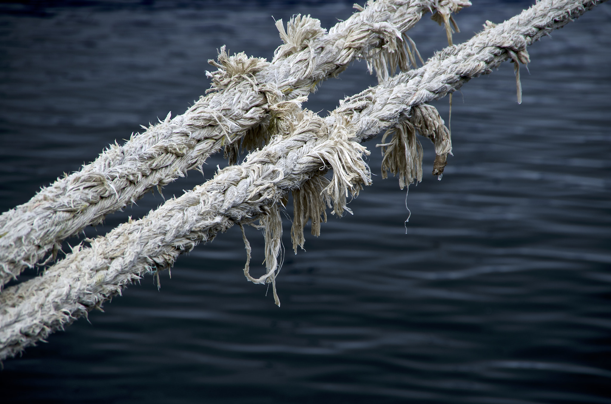 Pentax K-50 sample photo. Ropes photography