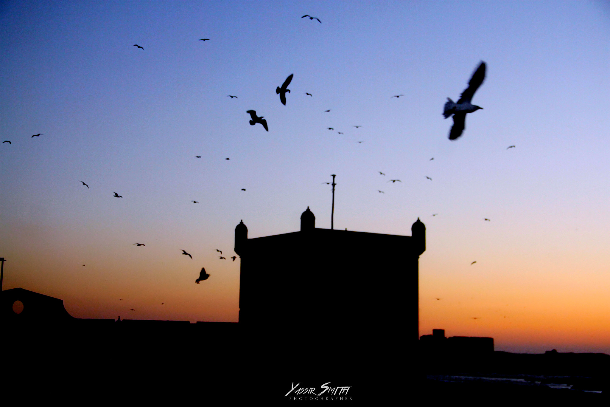 Canon EOS 500D (EOS Rebel T1i / EOS Kiss X3) sample photo. Port d'essaouira maroc photography