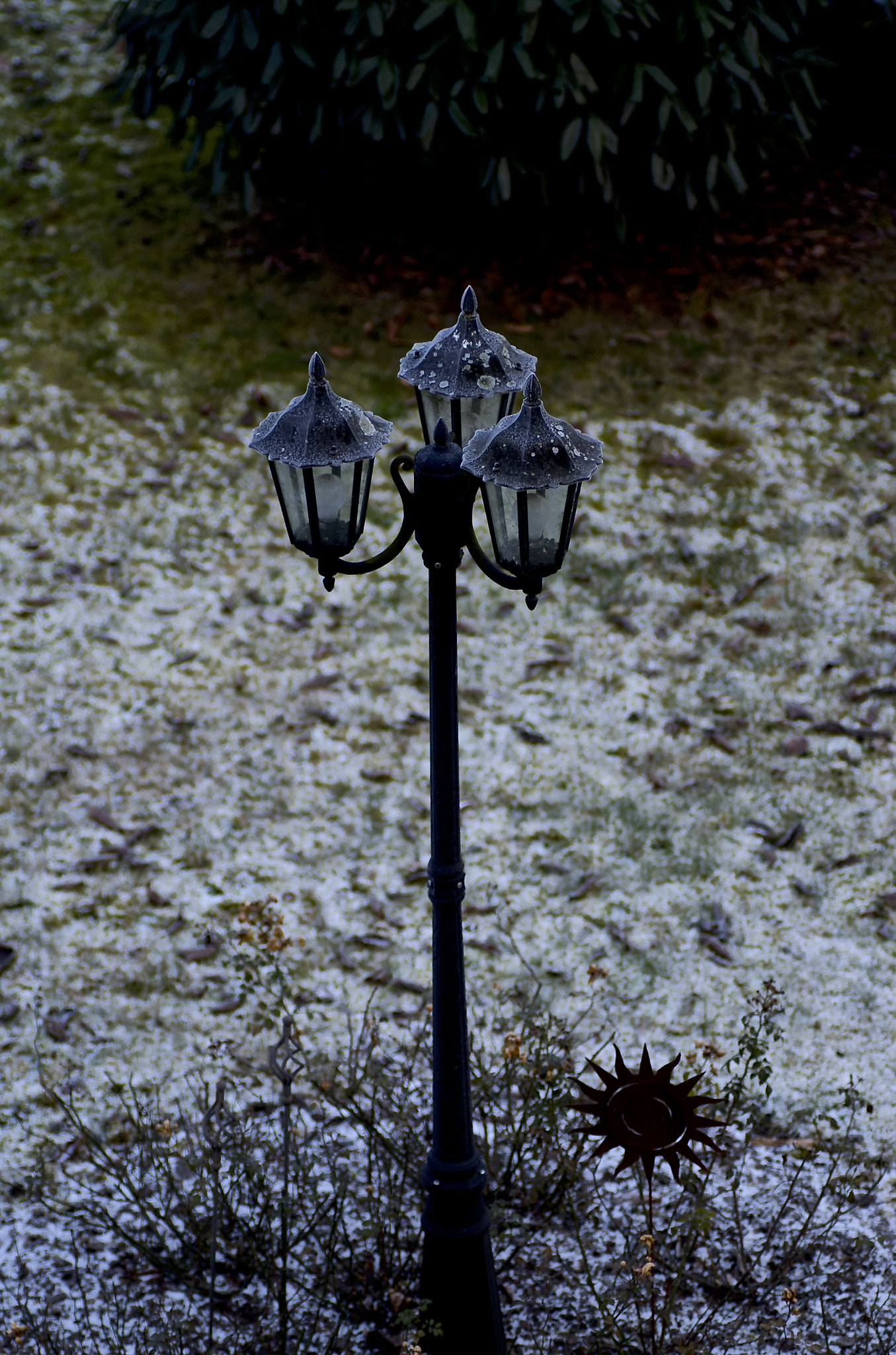 Pentax K-50 + Tamron SP AF 90mm F2.8 Di Macro sample photo. Cold #2 photography