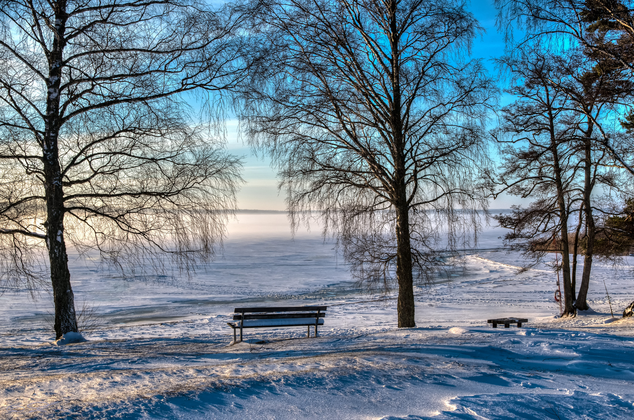 Sigma 17-50mm F2.8 EX DC OS HSM sample photo. Winter photography