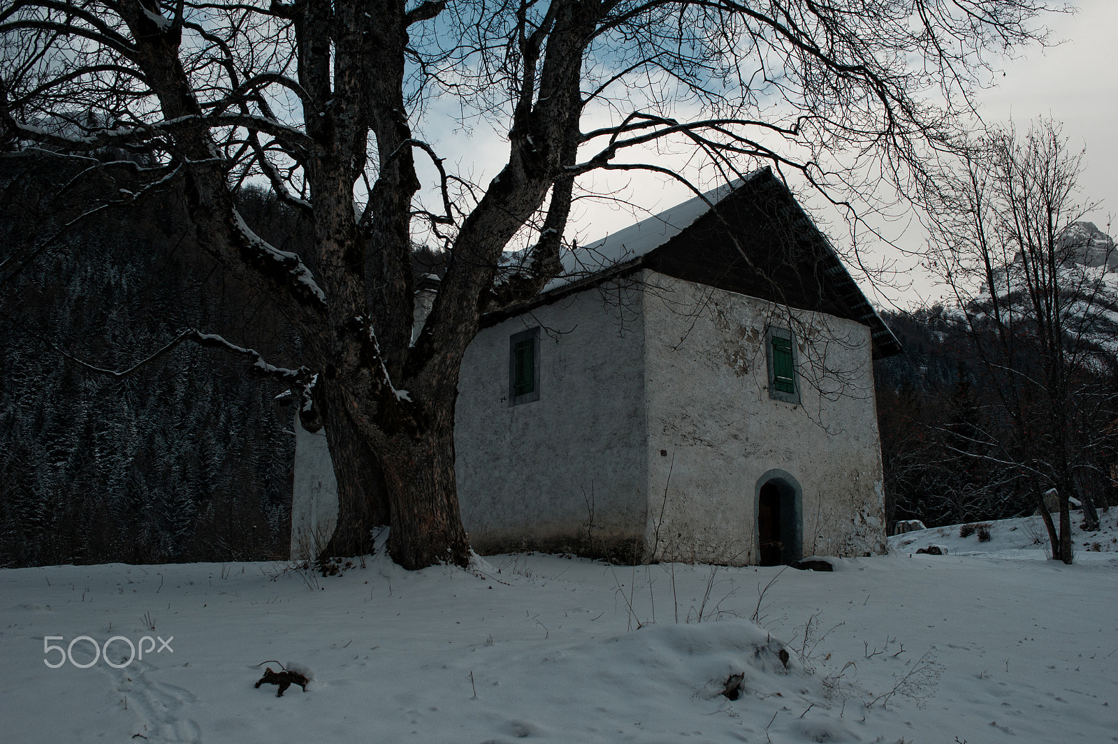 Nikon D3S + AF Zoom-Nikkor 35-70mm f/2.8D sample photo. Autre temps photography